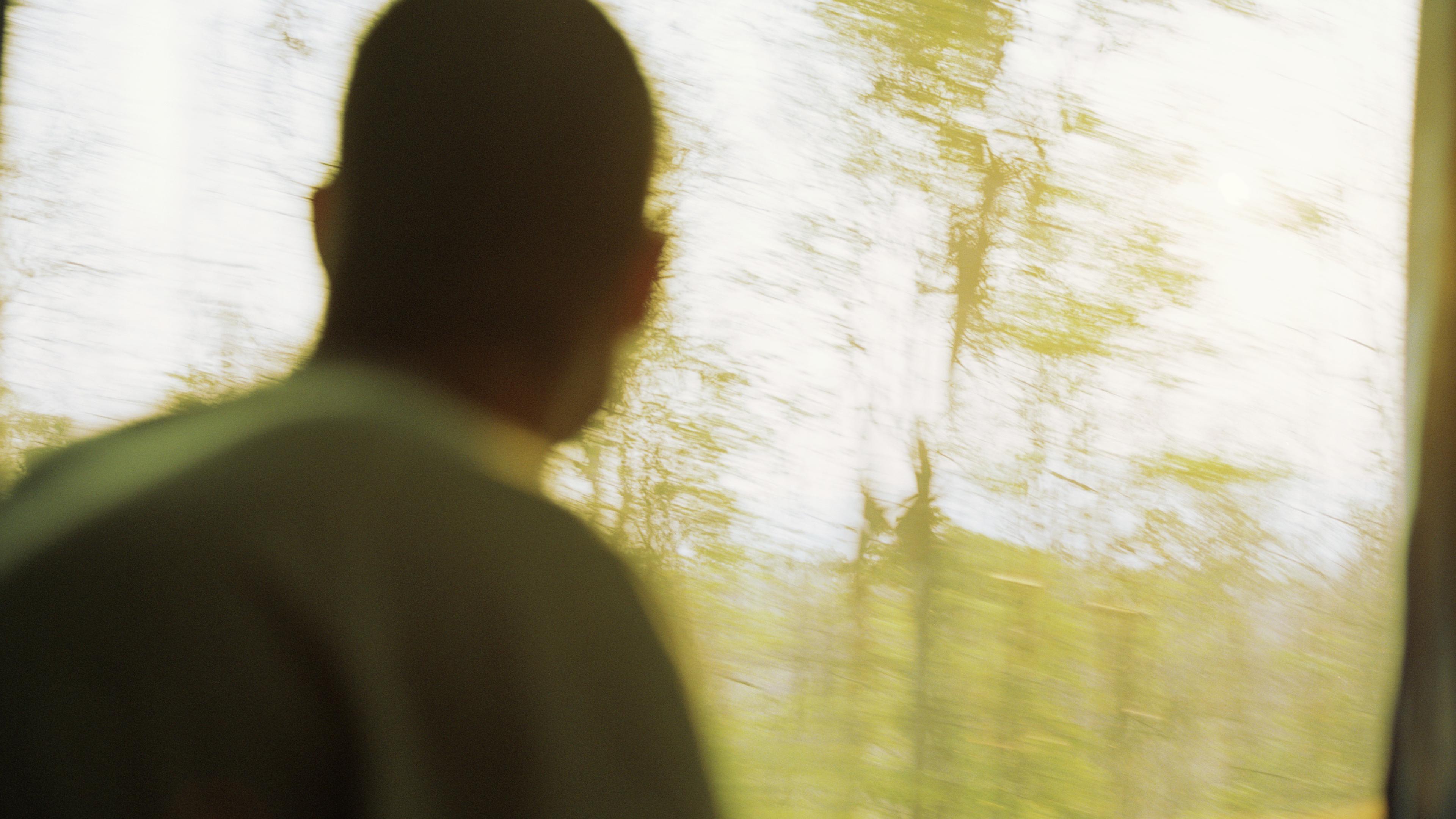 Photo of a person sitting in a train gazing out a window at blurred trees under sunlight.