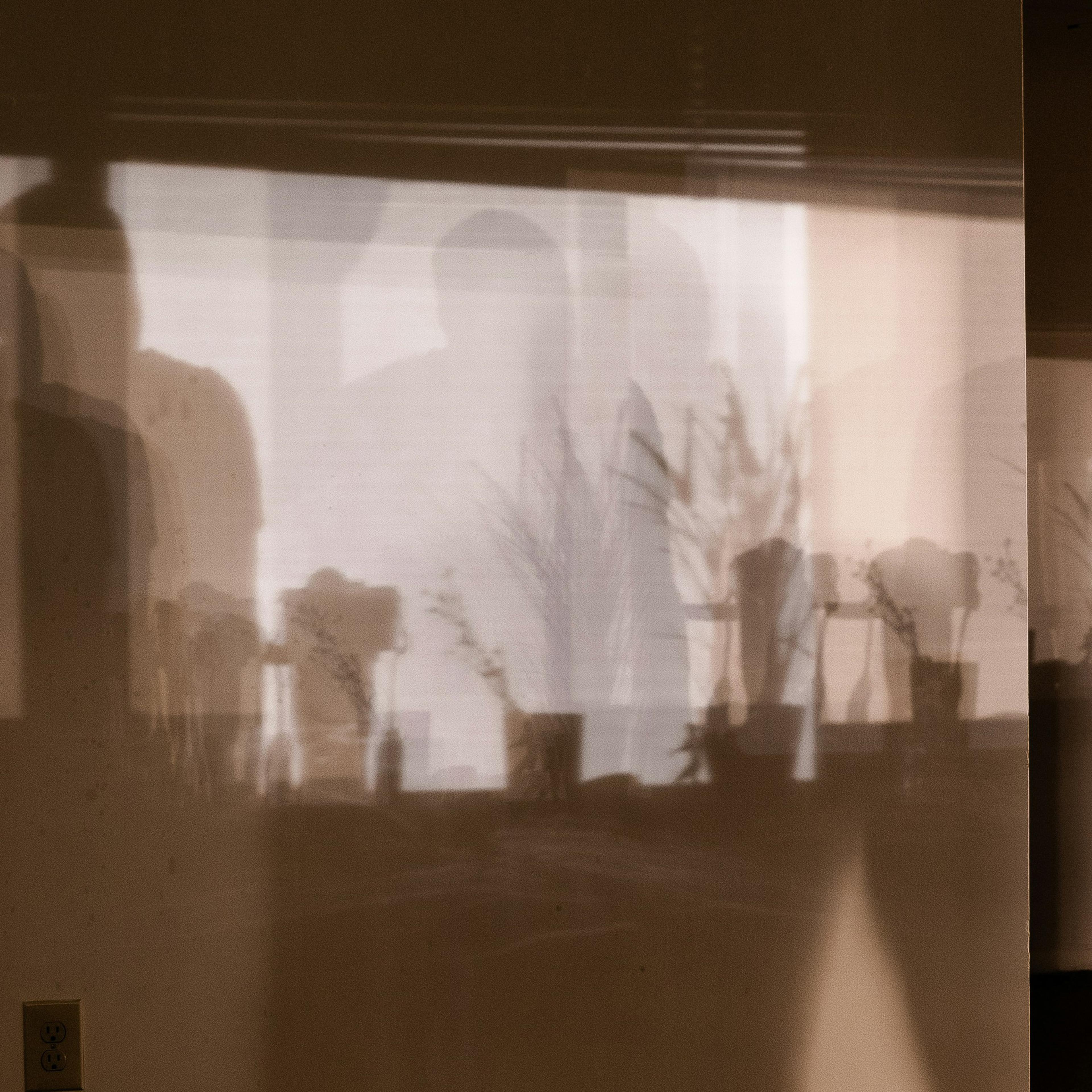 Shadows on a wall, showing silhouettes of people and plants. A chair and a plug socket are partially visible.