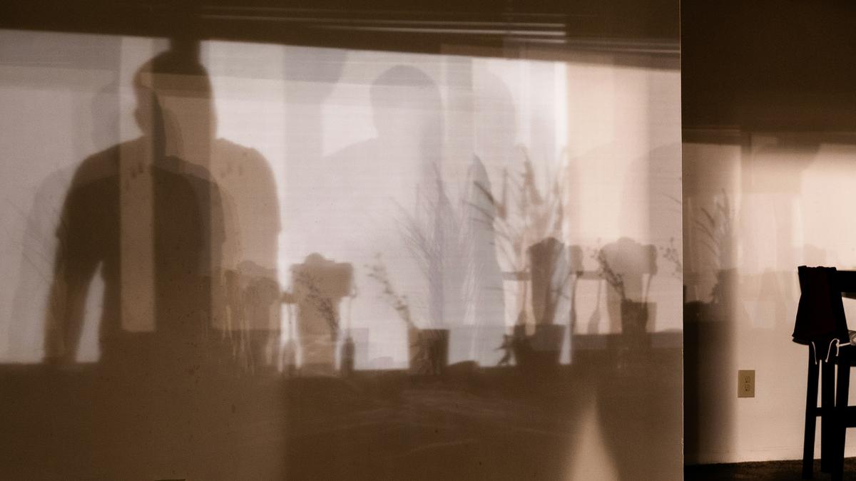 Shadows on a wall, showing silhouettes of people and plants. A chair and a plug socket are partially visible.