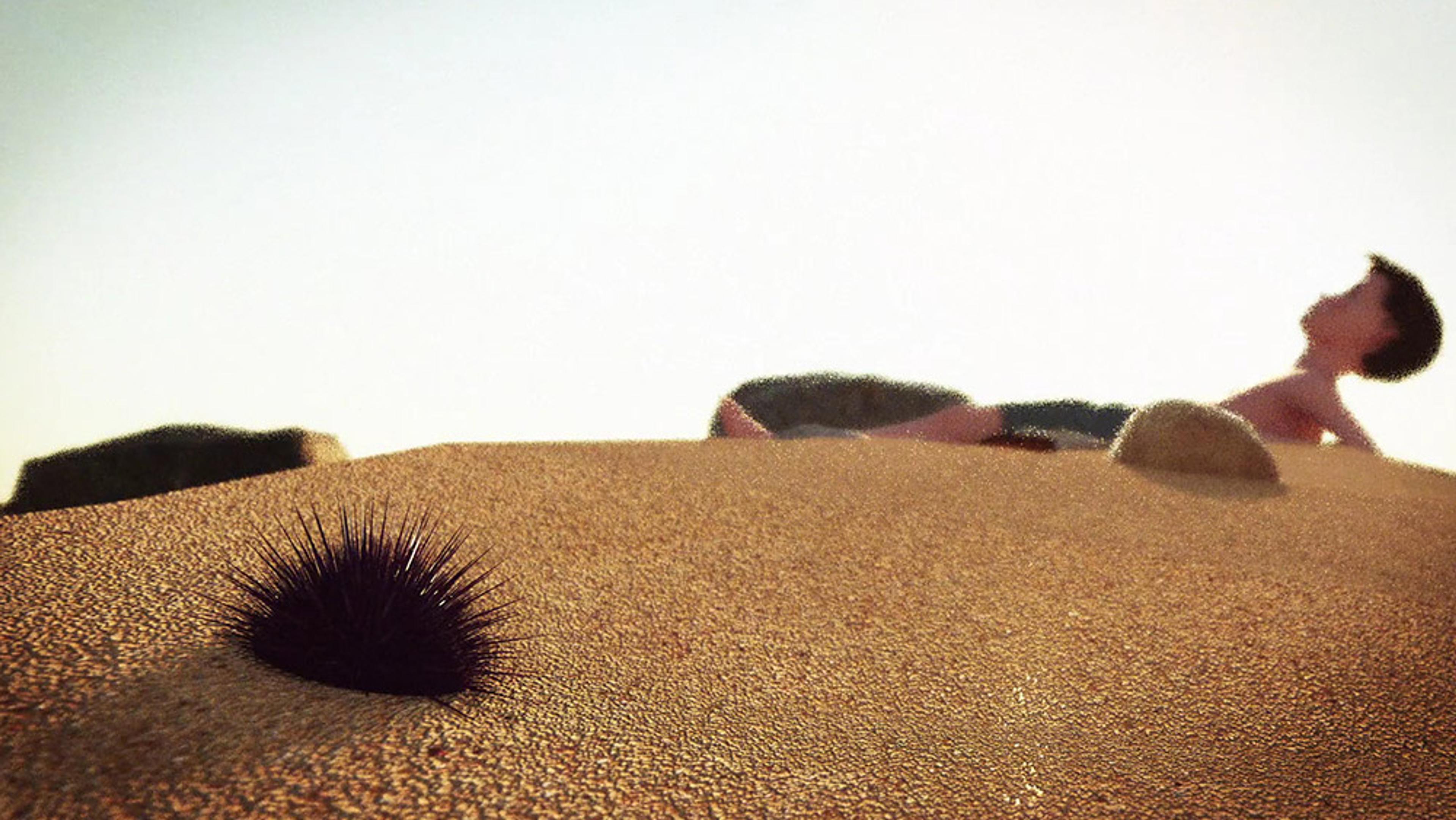 Photo of a child lying on a beach with a sea urchin in the foreground under a clear sky, illustrating a serene seaside scene.