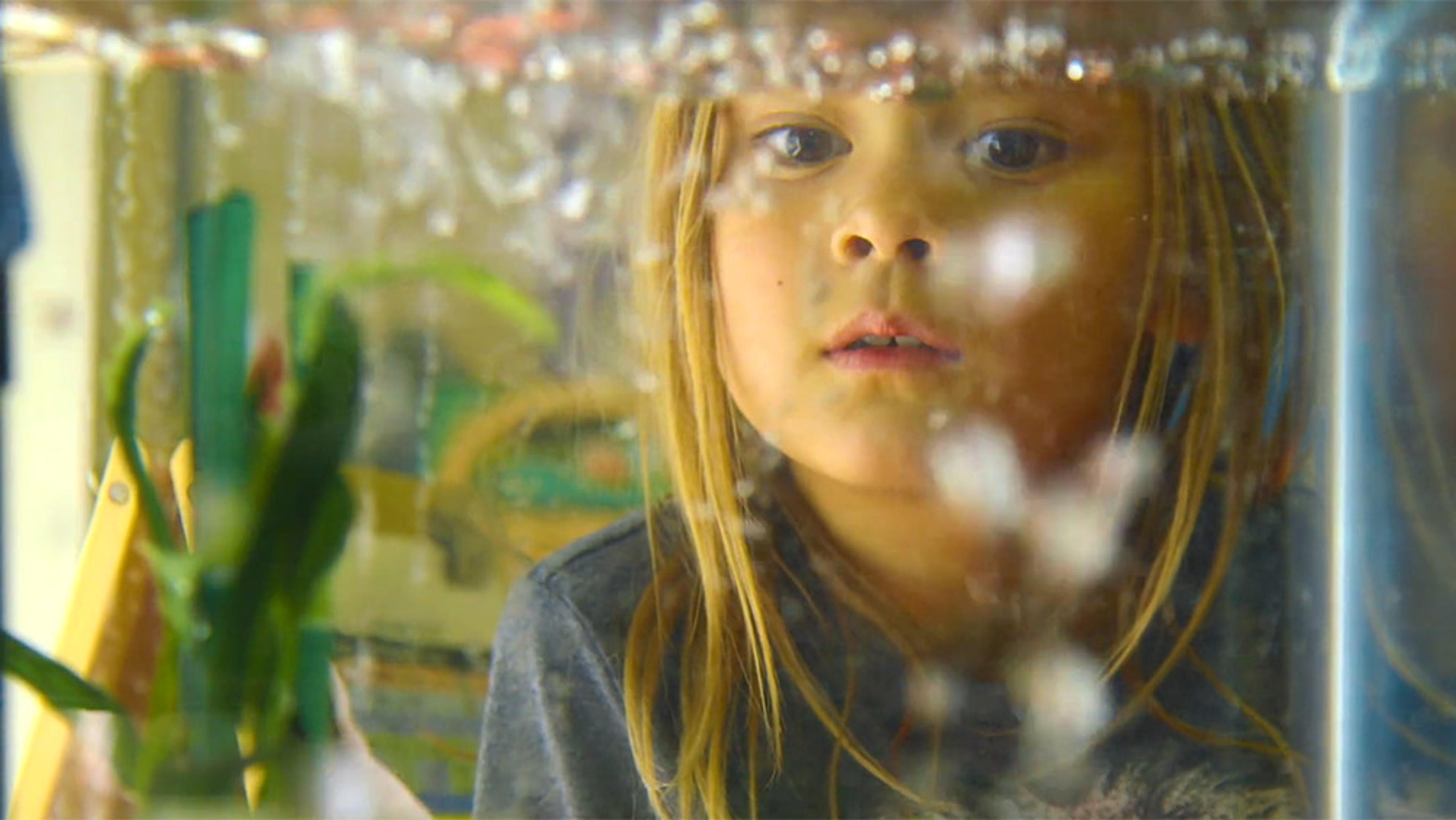 A young child with blonde hair peering into an aquarium with a curious expression while bubbles rise inside the tank.