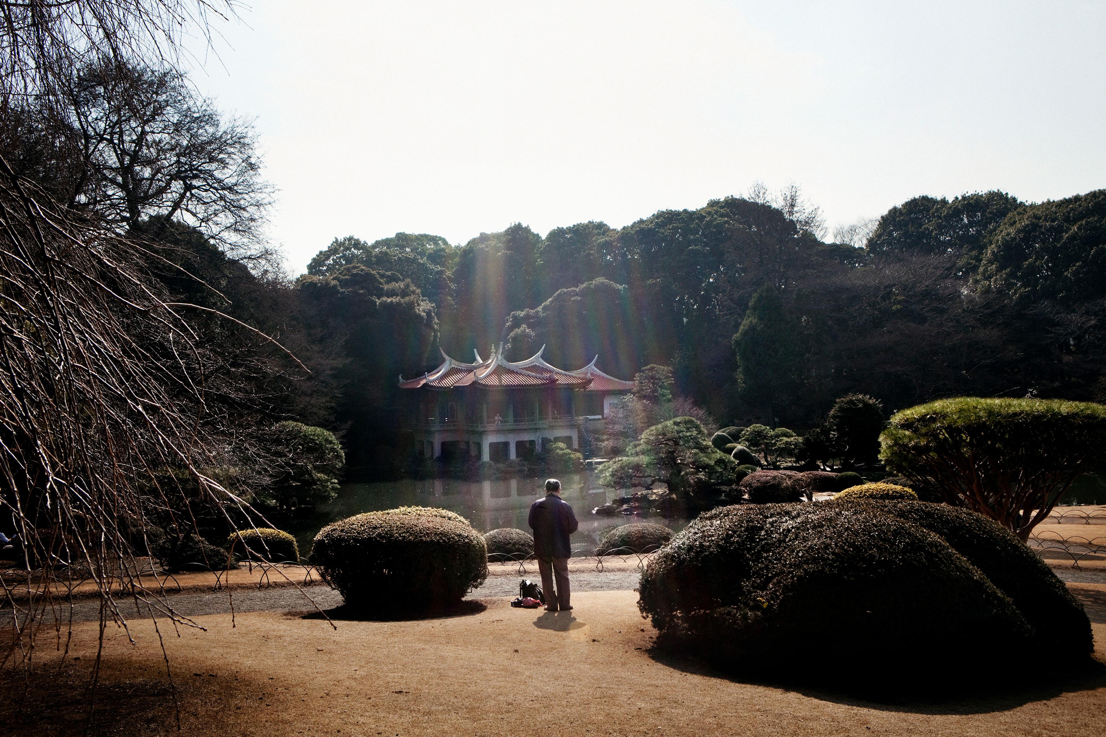 A person in a garden facing a traditional Japanese building with a curved roof across a pond, surrounded by trees and bushes.
