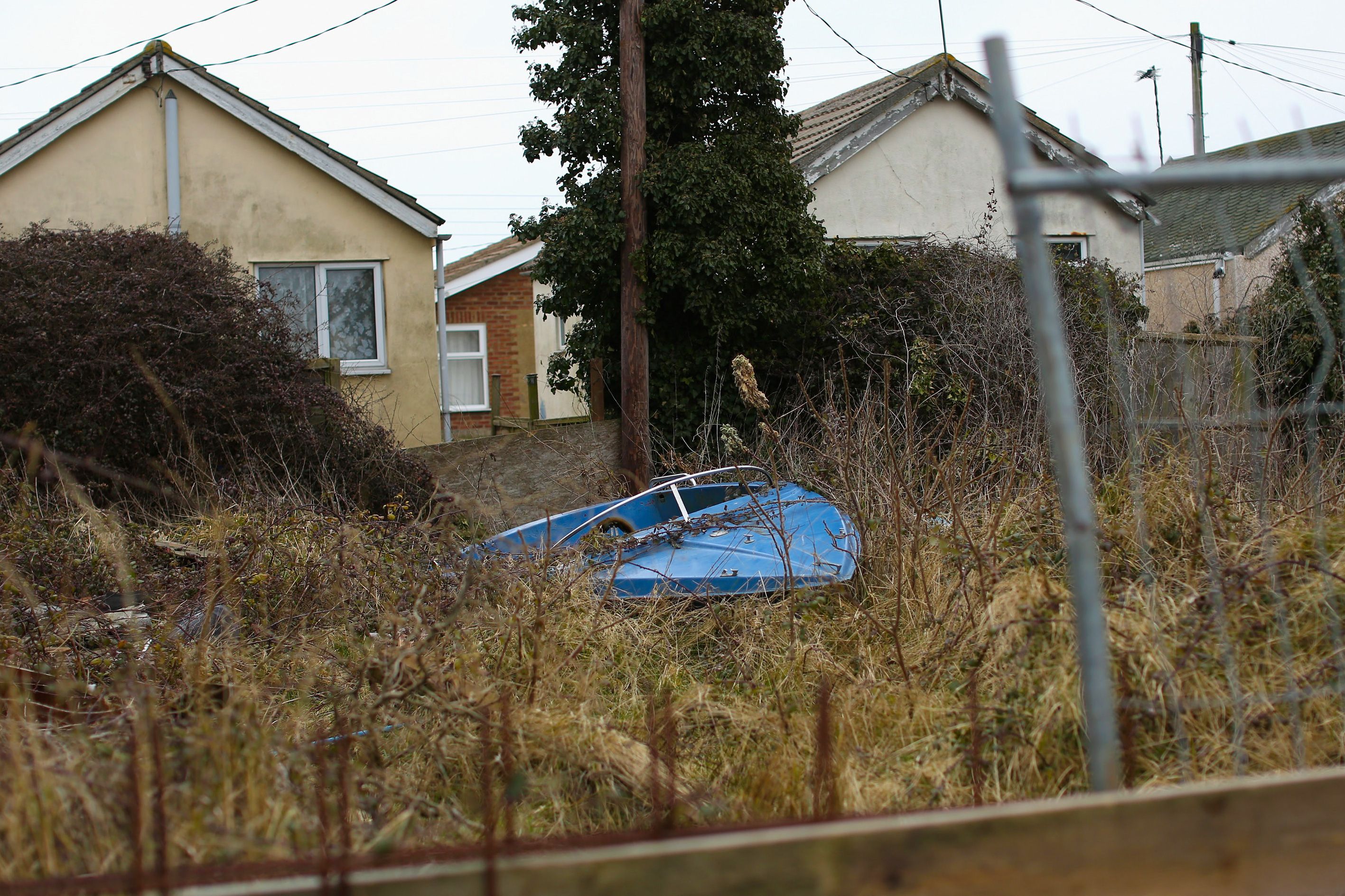 An overgrown garden with a blue boat surrounded by tall grass, houses in the background and a wooden fence in the foreground.
