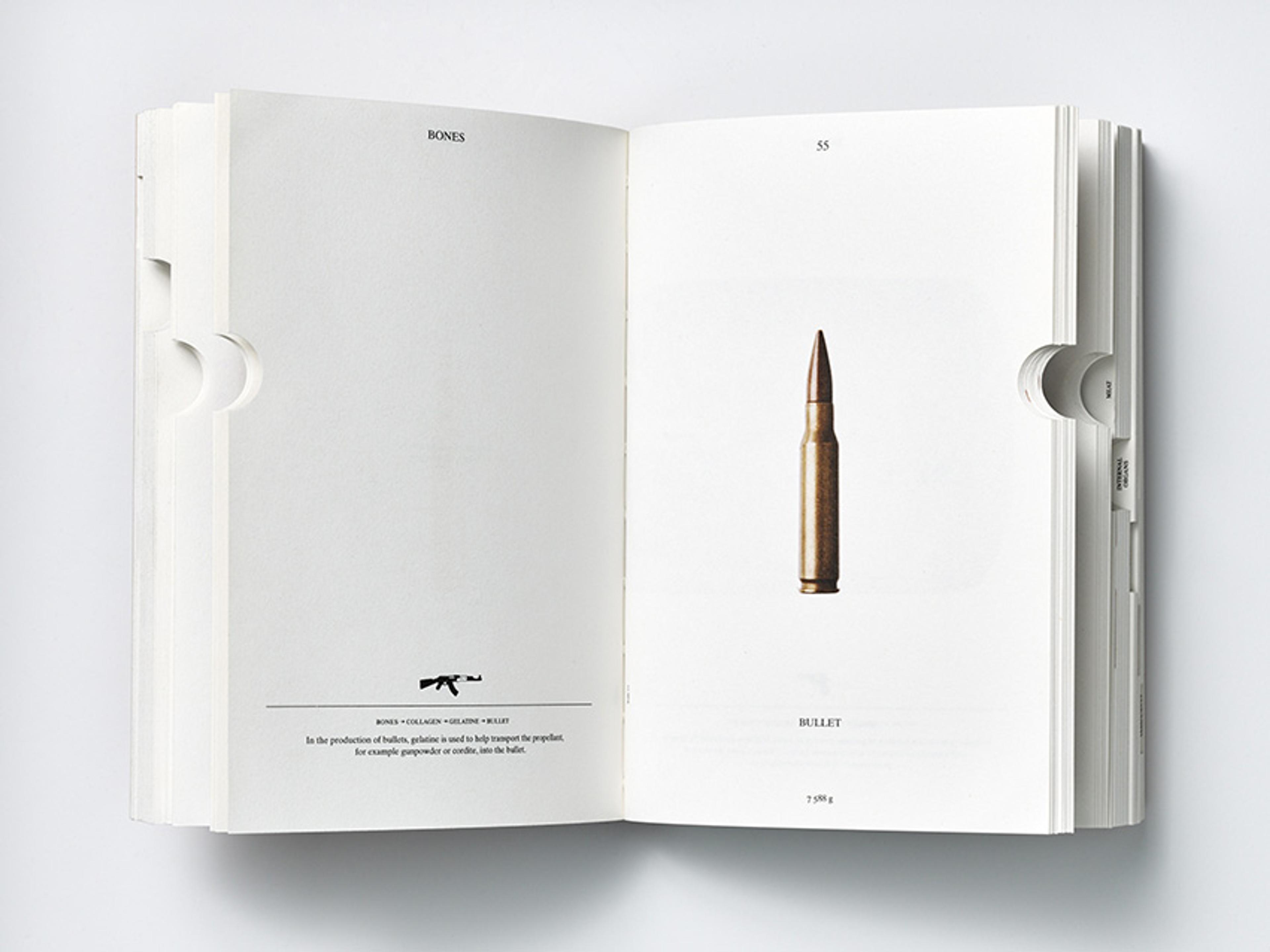 An open book with text and an illustration of a bullet on the right page, showing the word “BULLET” beneath it.