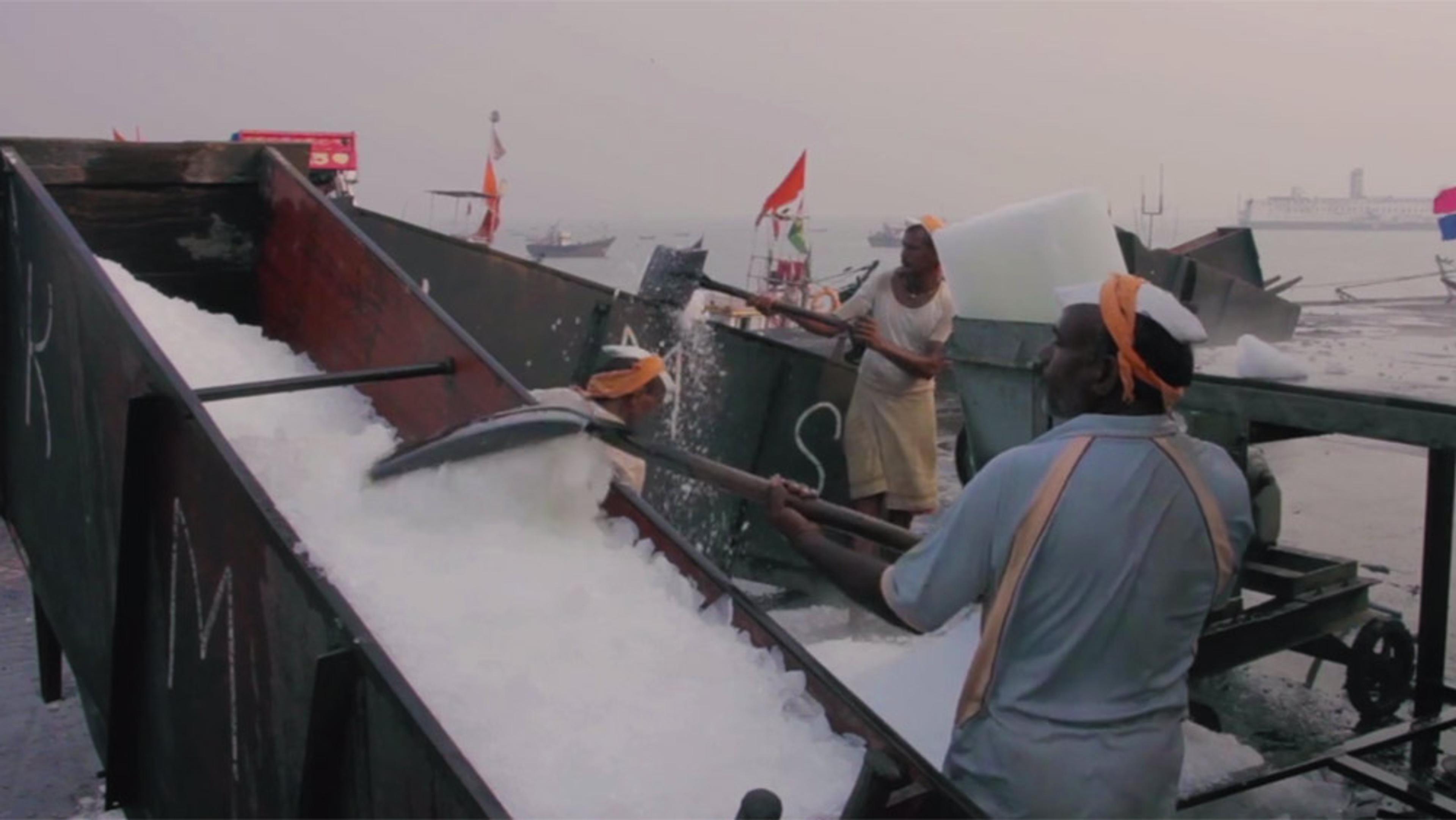 Two workers on a dock using large shovels to move ice. Boats and a hazy waterfront are seen in the background.