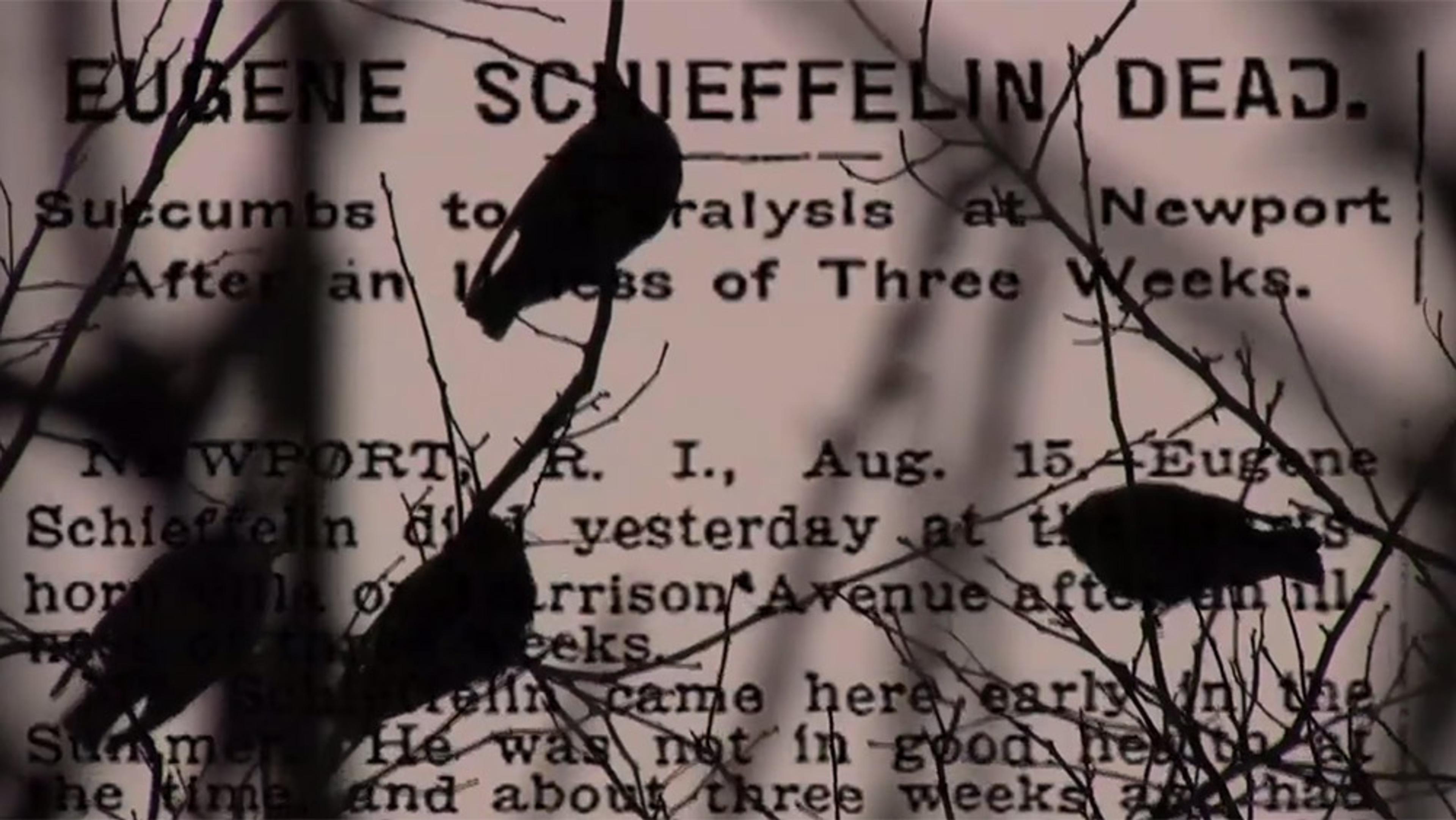 Silhouetted birds on branches overlaying a historical newspaper obit titled “Eugene Schieffelin Dead.”