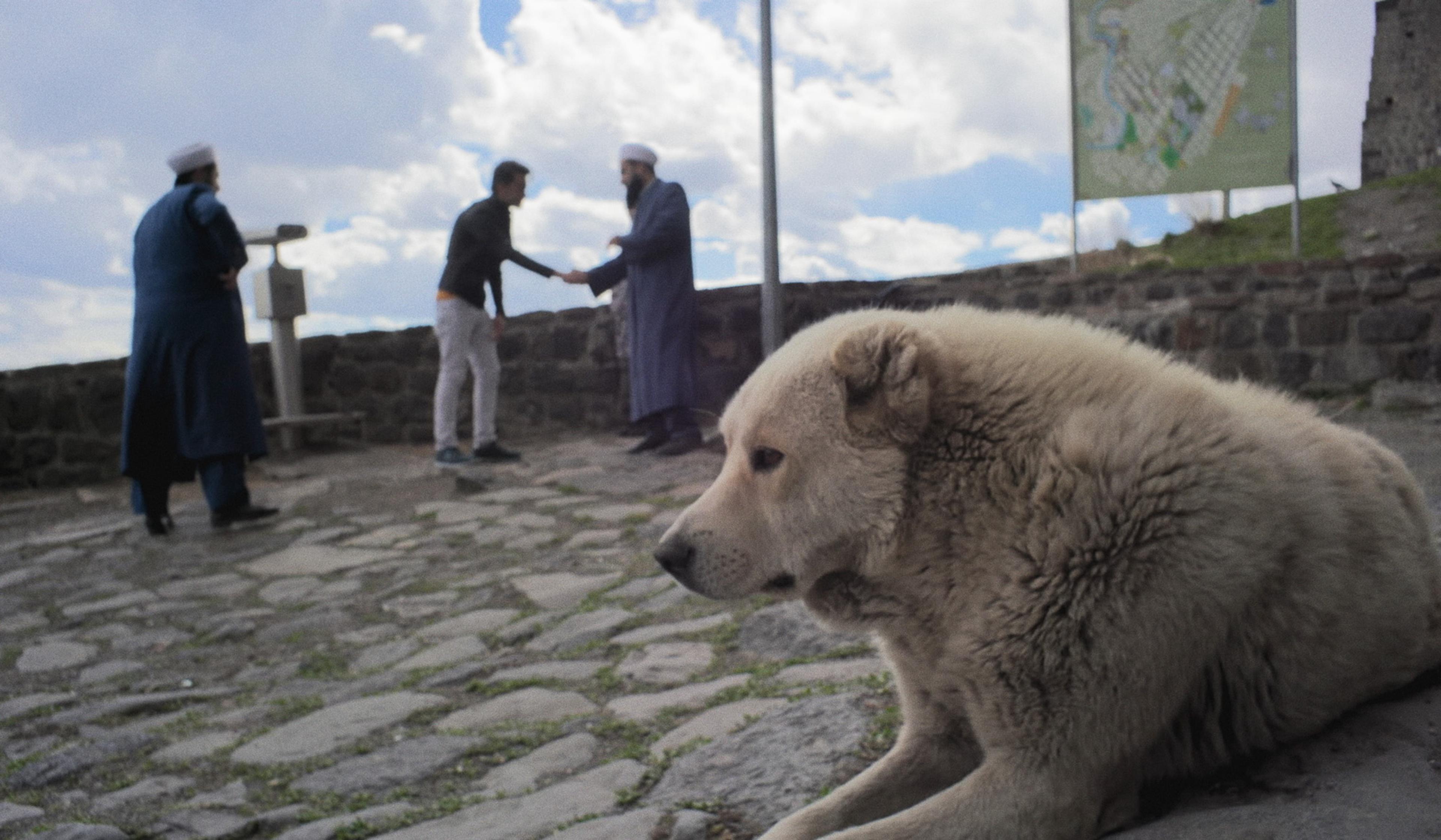 A large dog rests on cobblestone with three people in the background talking near a map sign and a viewing telescope under a cloudy sky.