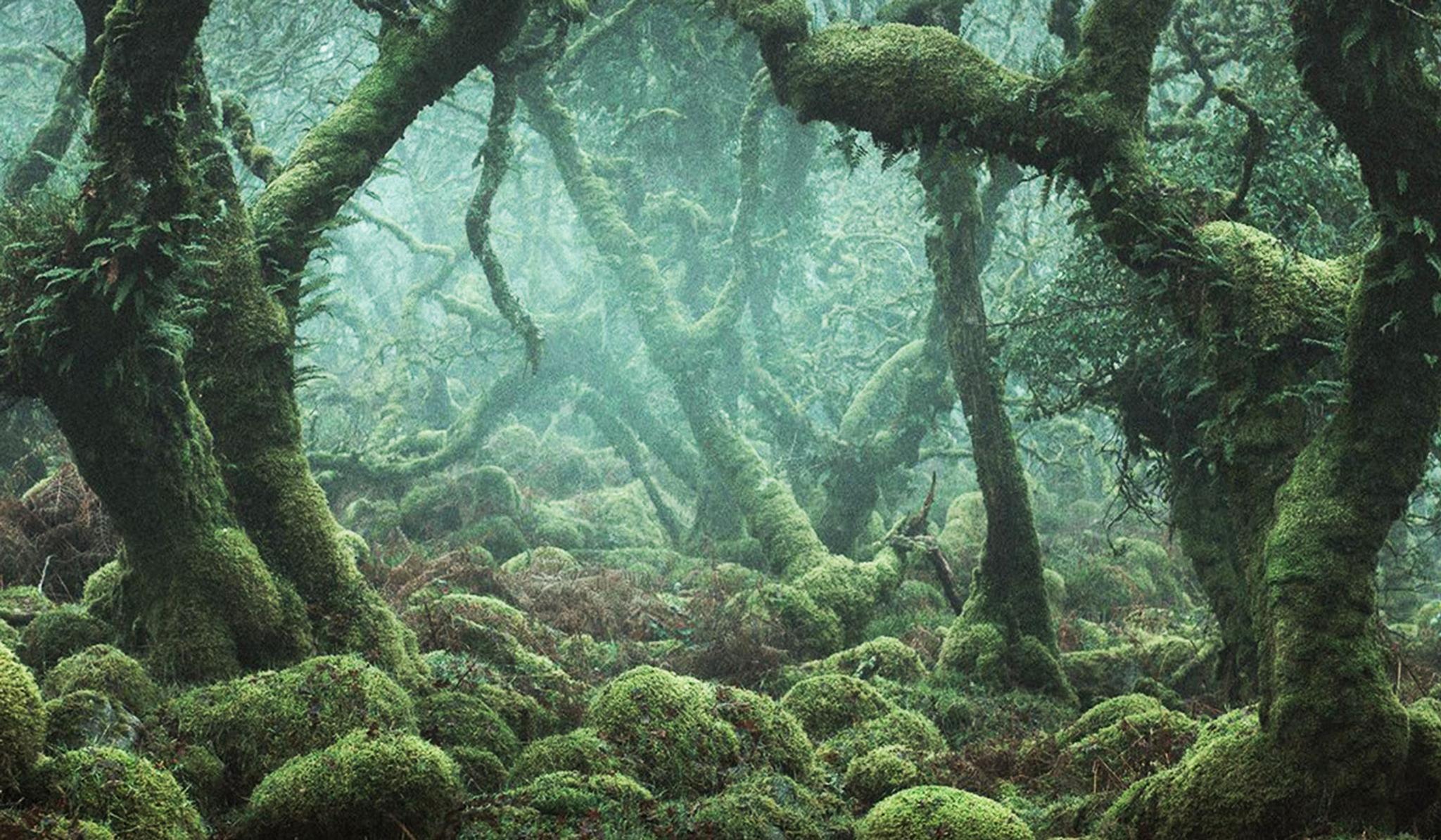 Science — Deep time | Aeon