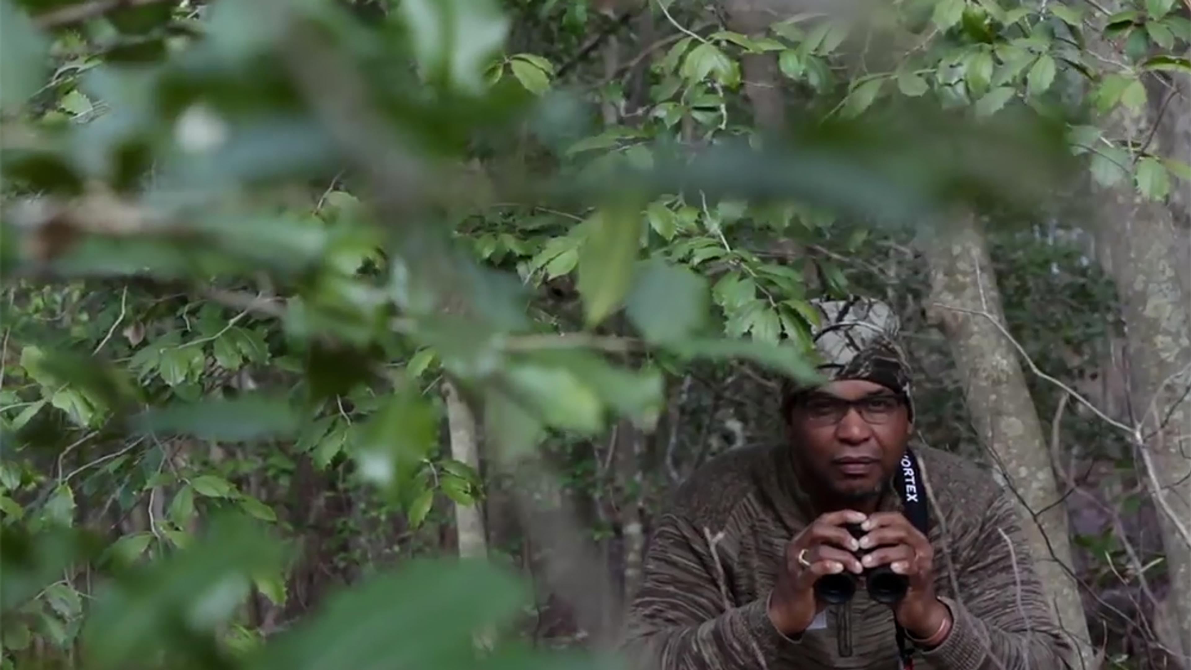 A person in camouflage holding binoculars in a forest, partially obscured by tree branches and leaves.