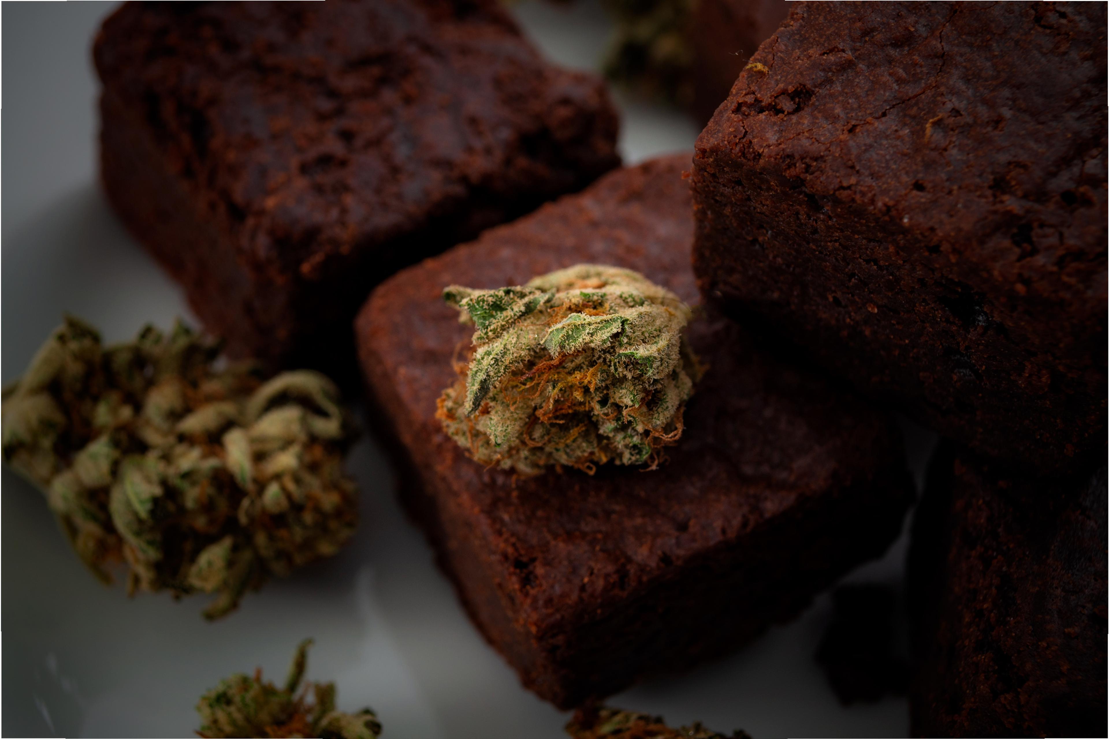 Brownies with cannabis buds on top, showcasing a close-up of the texture and details on a plate.