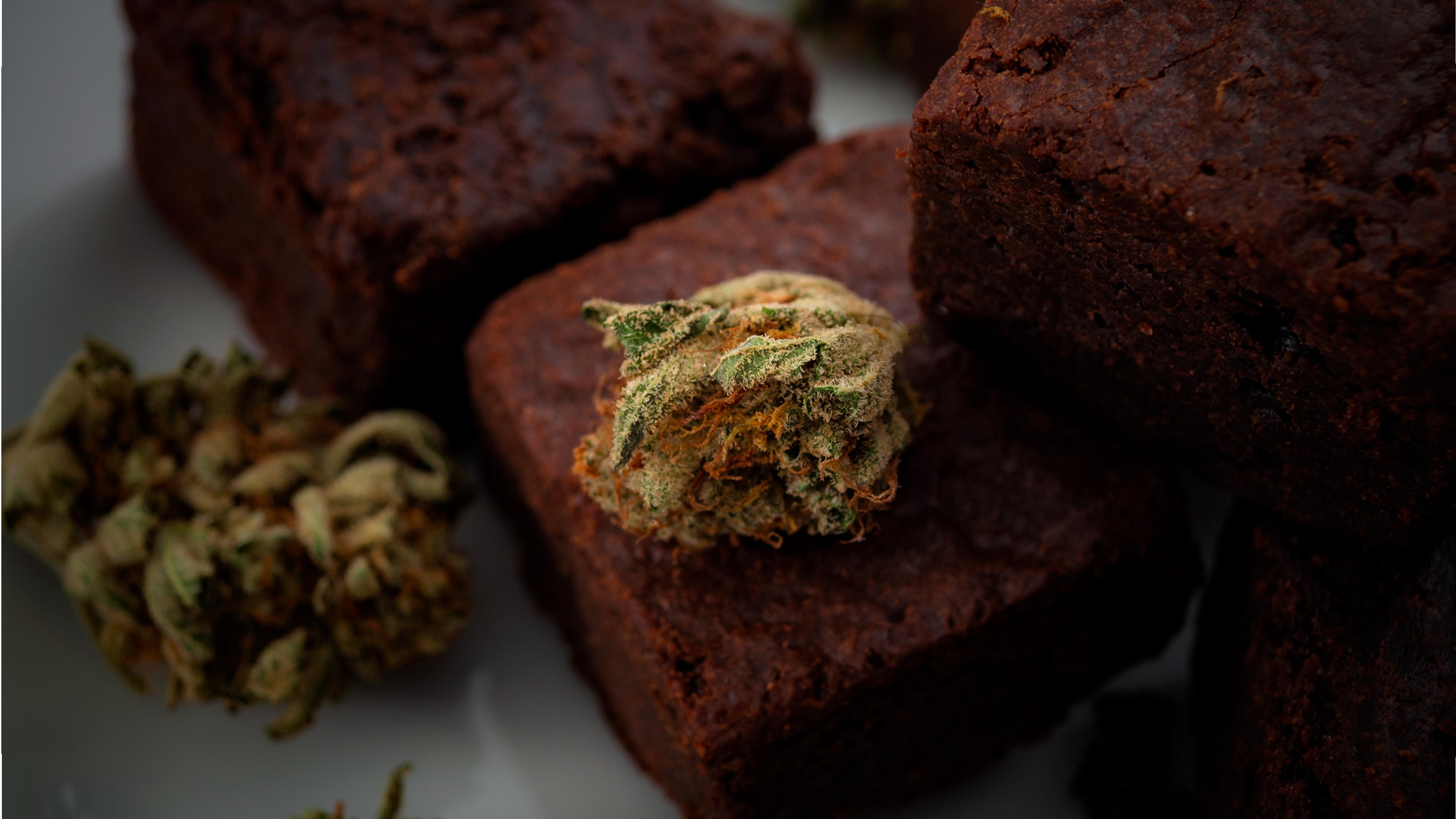 Brownies with cannabis buds on top, showcasing a close-up of the texture and details on a plate.