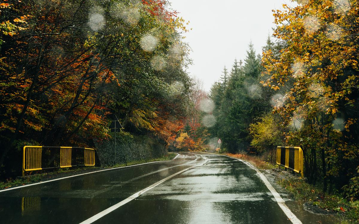 Rainy forest road with yellow railings on either side and autumn trees with colourful leaves lining the road. Wet reflective surface and slight haze from the rain.
