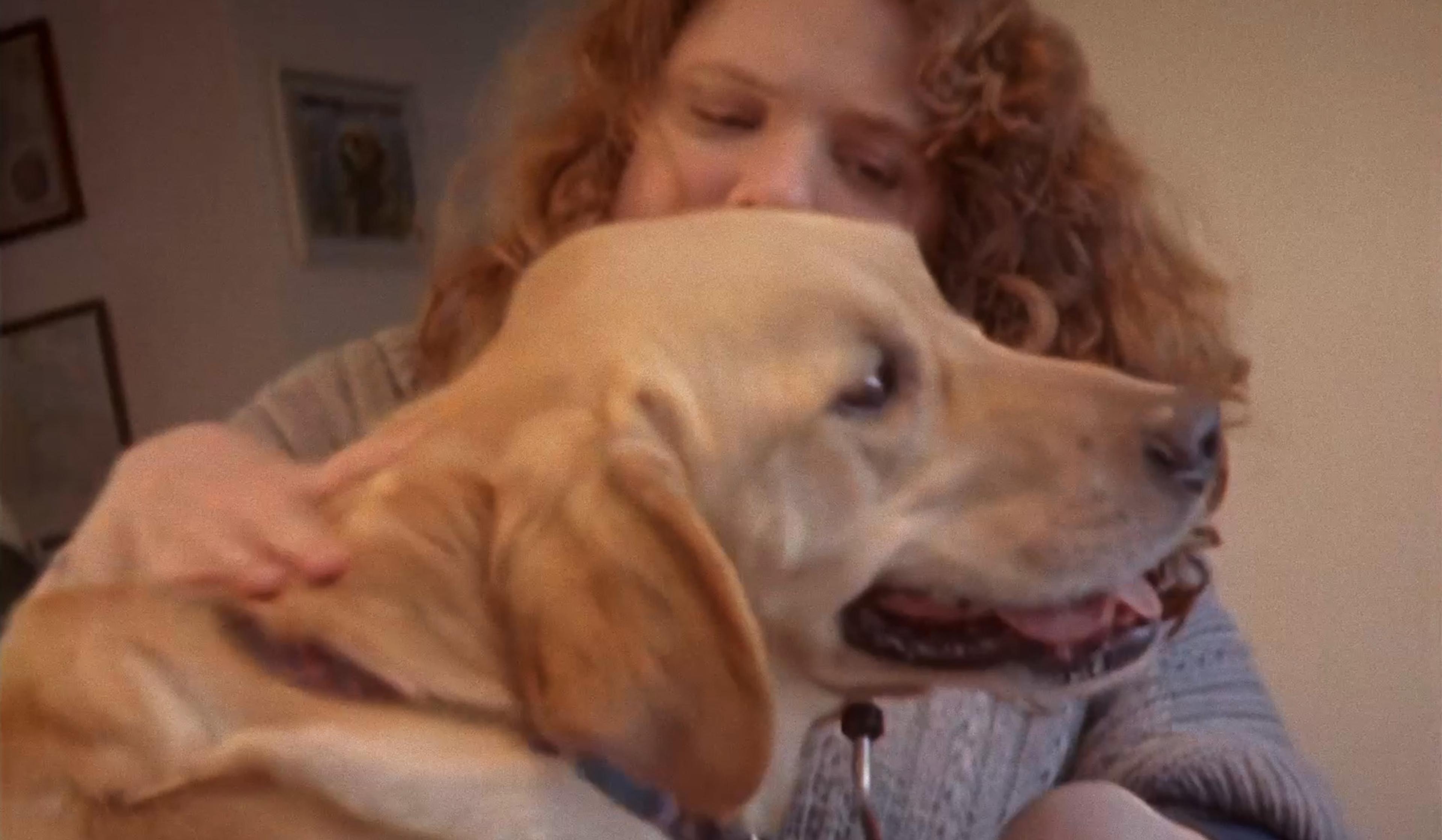 A woman with curly hair smiles while holding and petting a cheerful Labrador Retriever indoors.