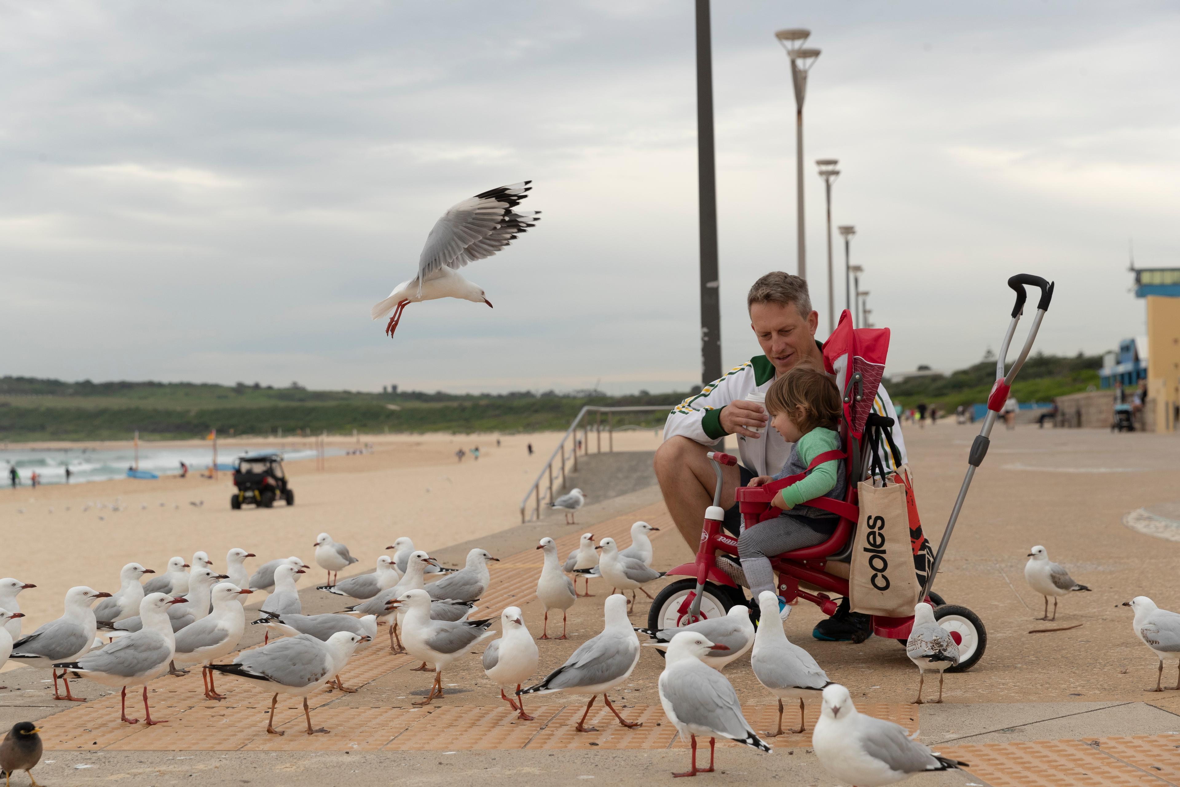 Photo of a man and child seated in a stroller on a beach path surrounded by seagulls with the ocean in the background.