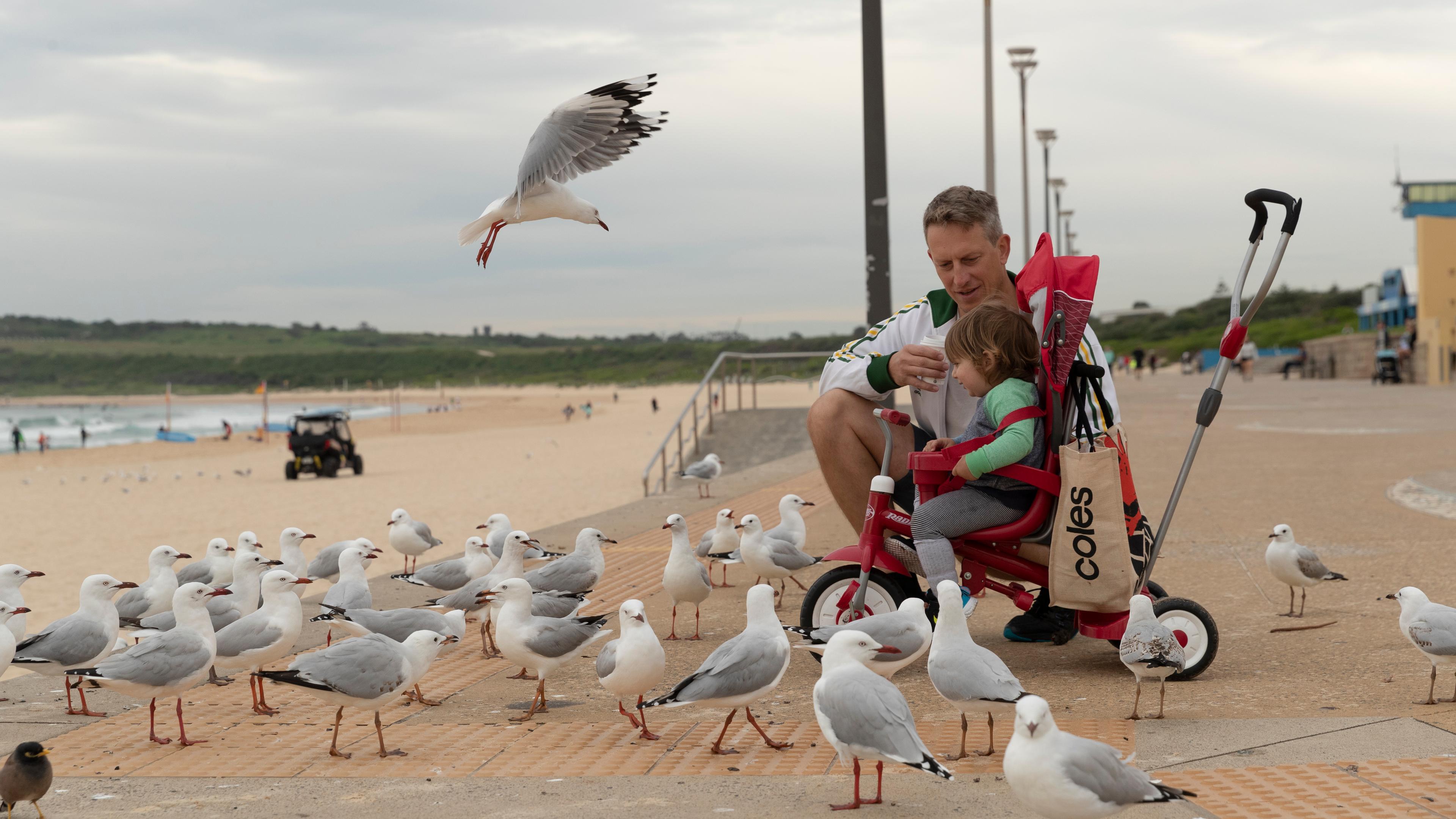 Photo of a man and child seated in a stroller on a beach path surrounded by seagulls with the ocean in the background.