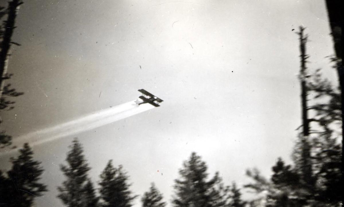 Black and white photo of a biplane flying above tree tops, leaving contrails in a cloudy sky with partial silhouettes of trees.