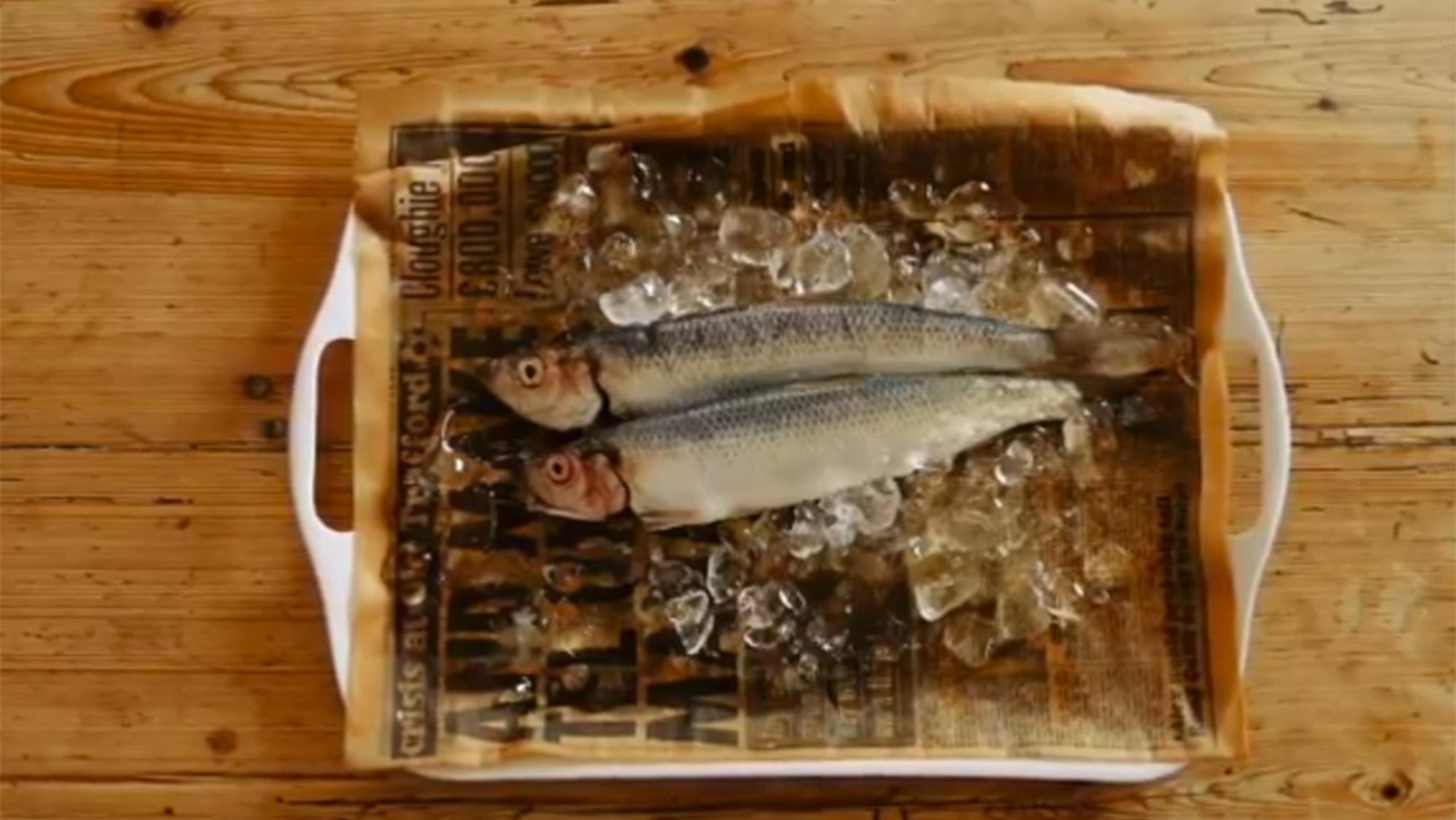 Two raw fish on ice placed on a newspaper in a white tray on a wooden table.