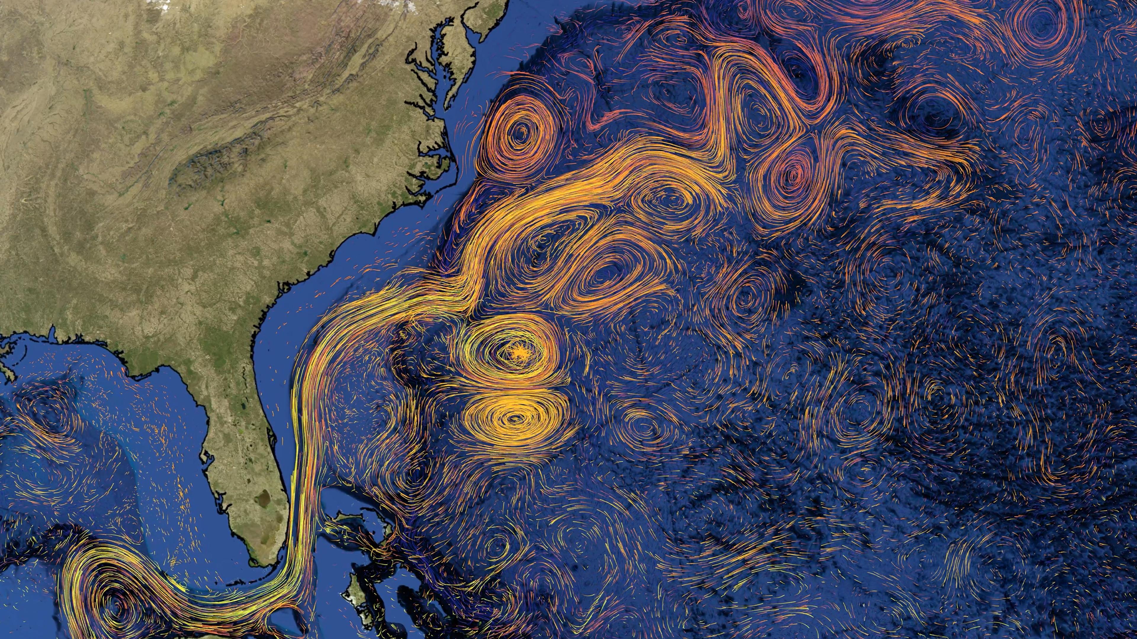 Satellite image showing swirling ocean currents in vivid colours off the east coast of the US.