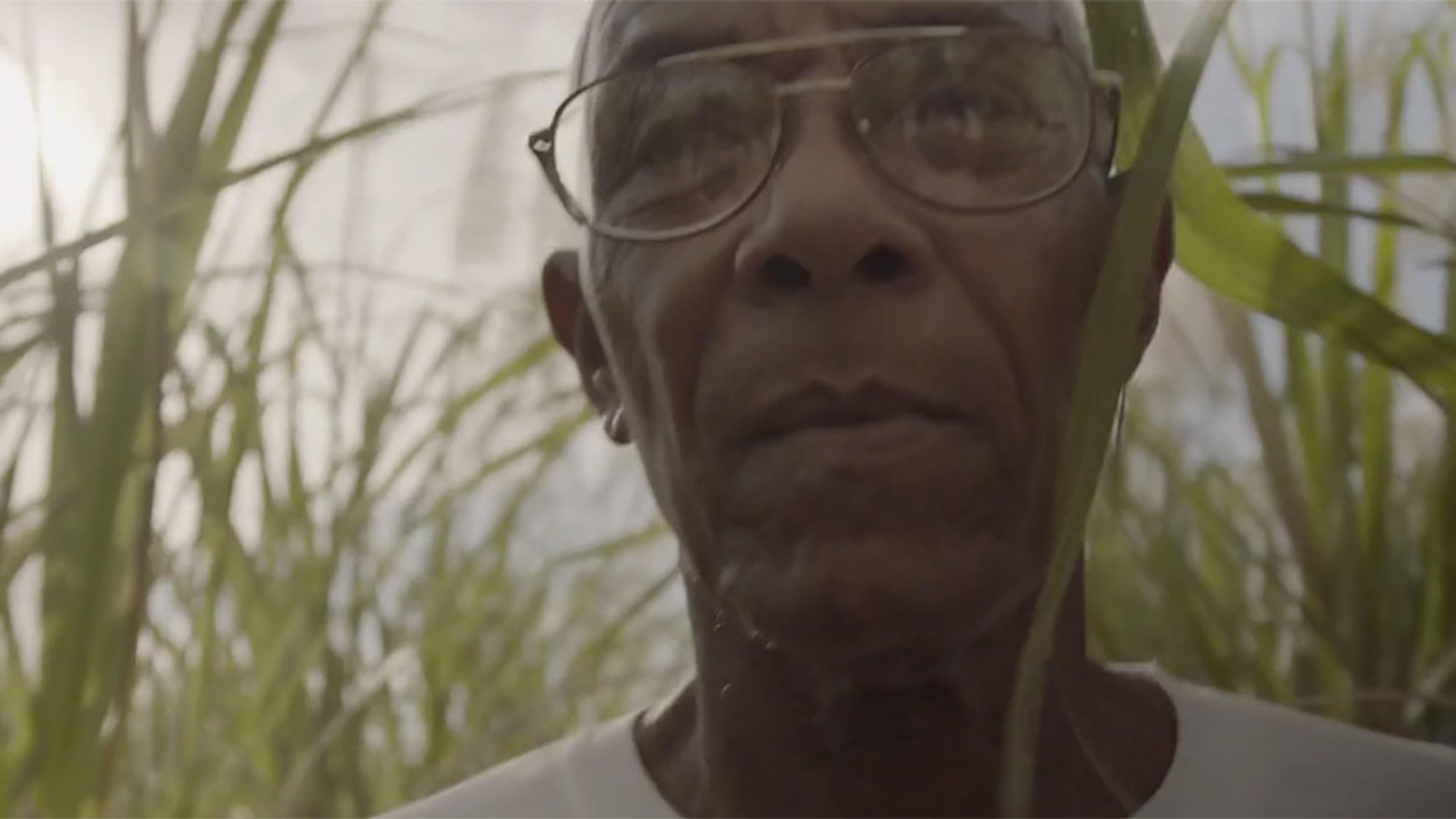 Photo of an elderly person with glasses wearing a white shirt standing among tall green plants looking directly at the camera.