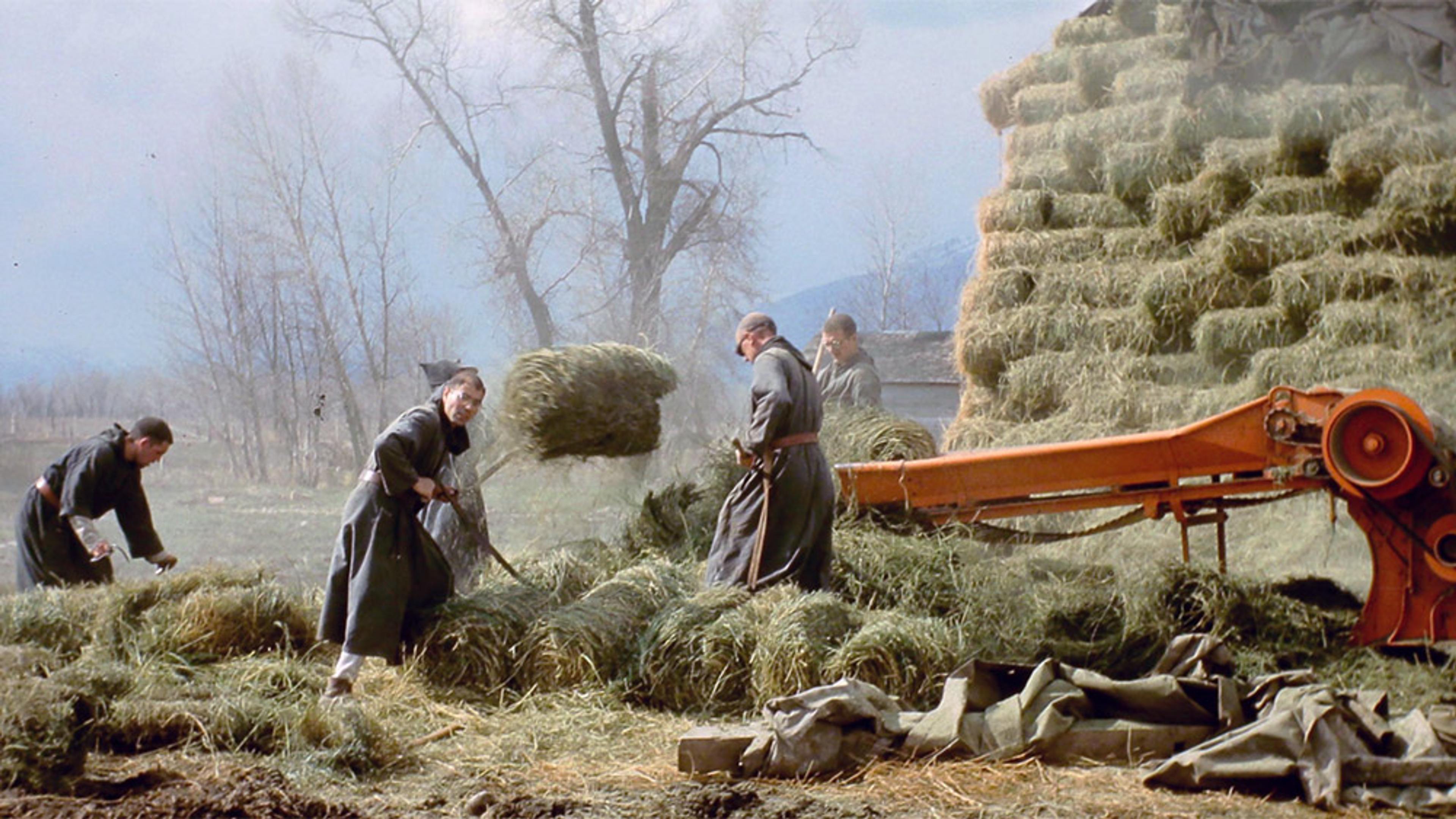 Monks working with hay near a large haystack and machinery in a field with trees in the background.