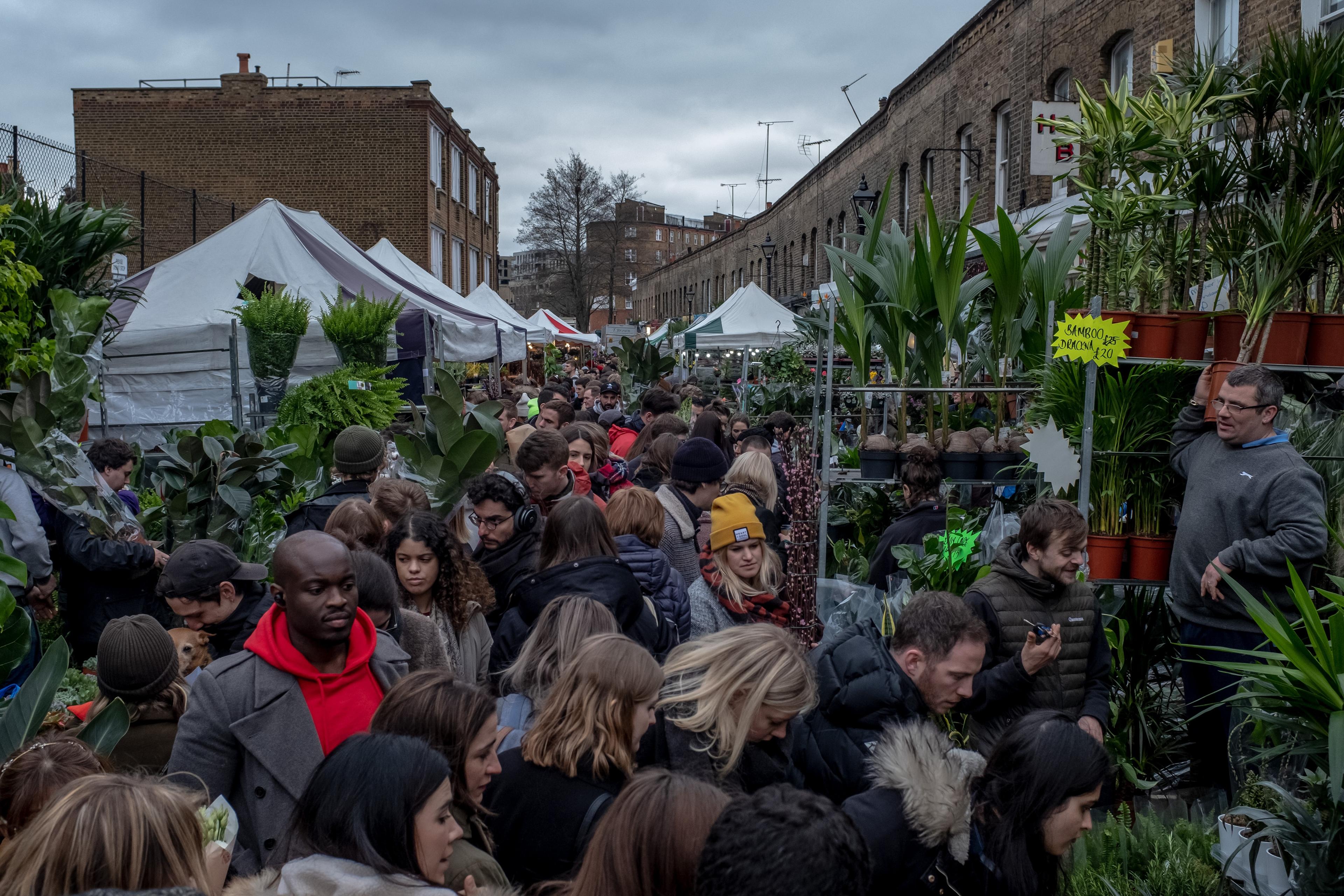 Photo of a bustling outdoor market with people browsing plants and stalls lined along brick buildings under a cloudy sky.
