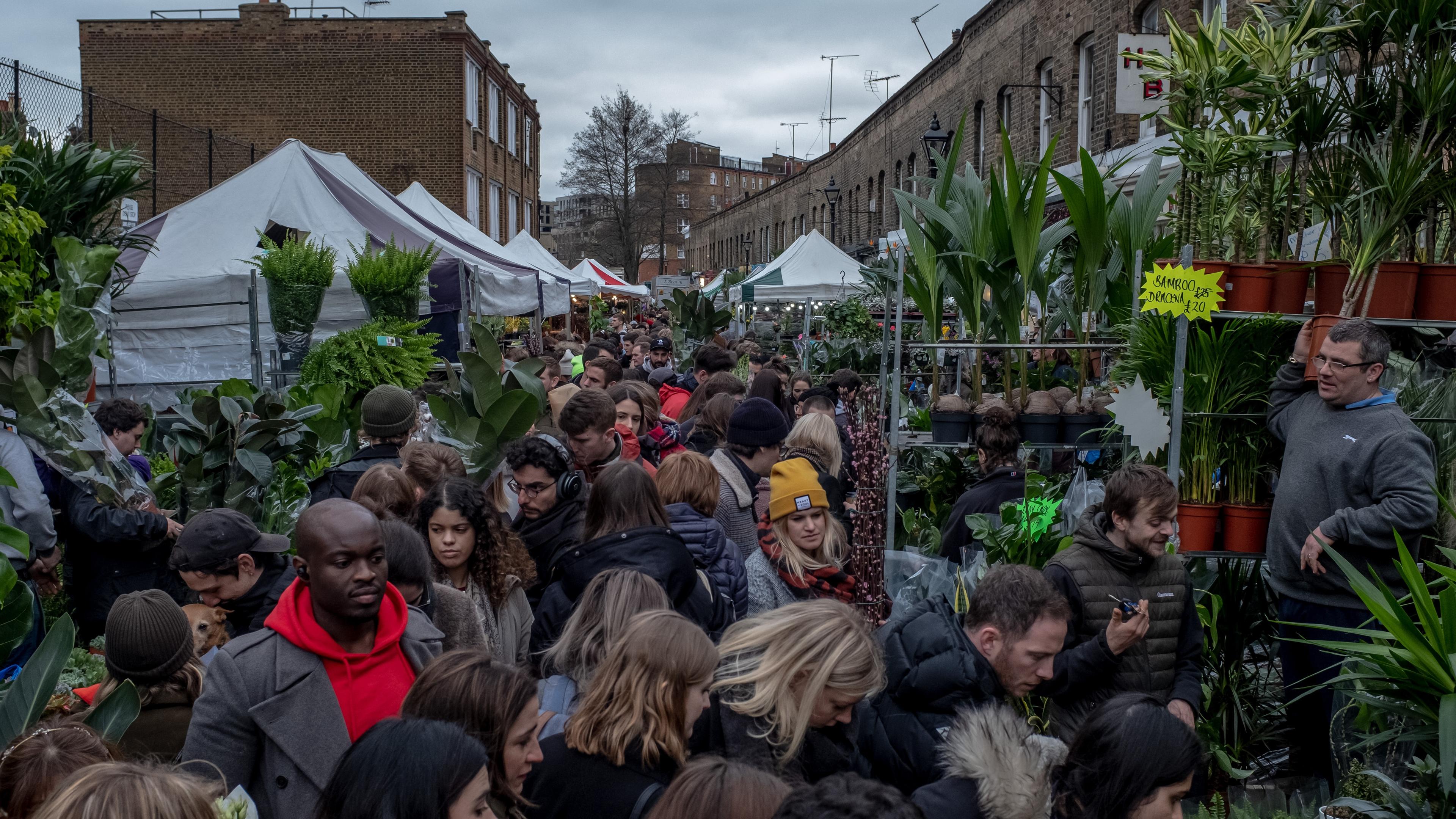 Photo of a bustling outdoor market with people browsing plants and stalls lined along brick buildings under a cloudy sky.