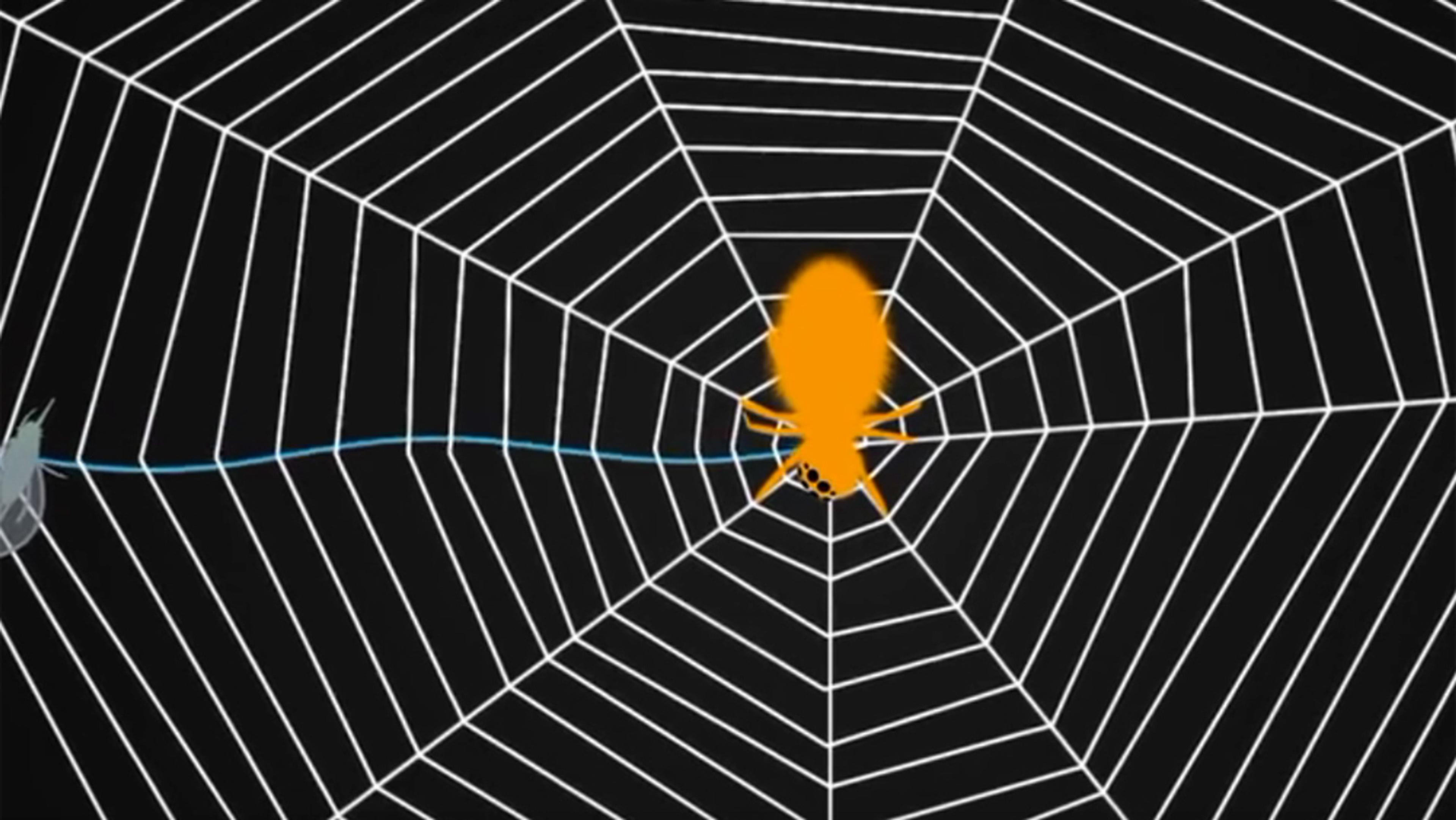 Illustration of an orange spider on a white spiderweb with a blue line and a grey insect on a black background.