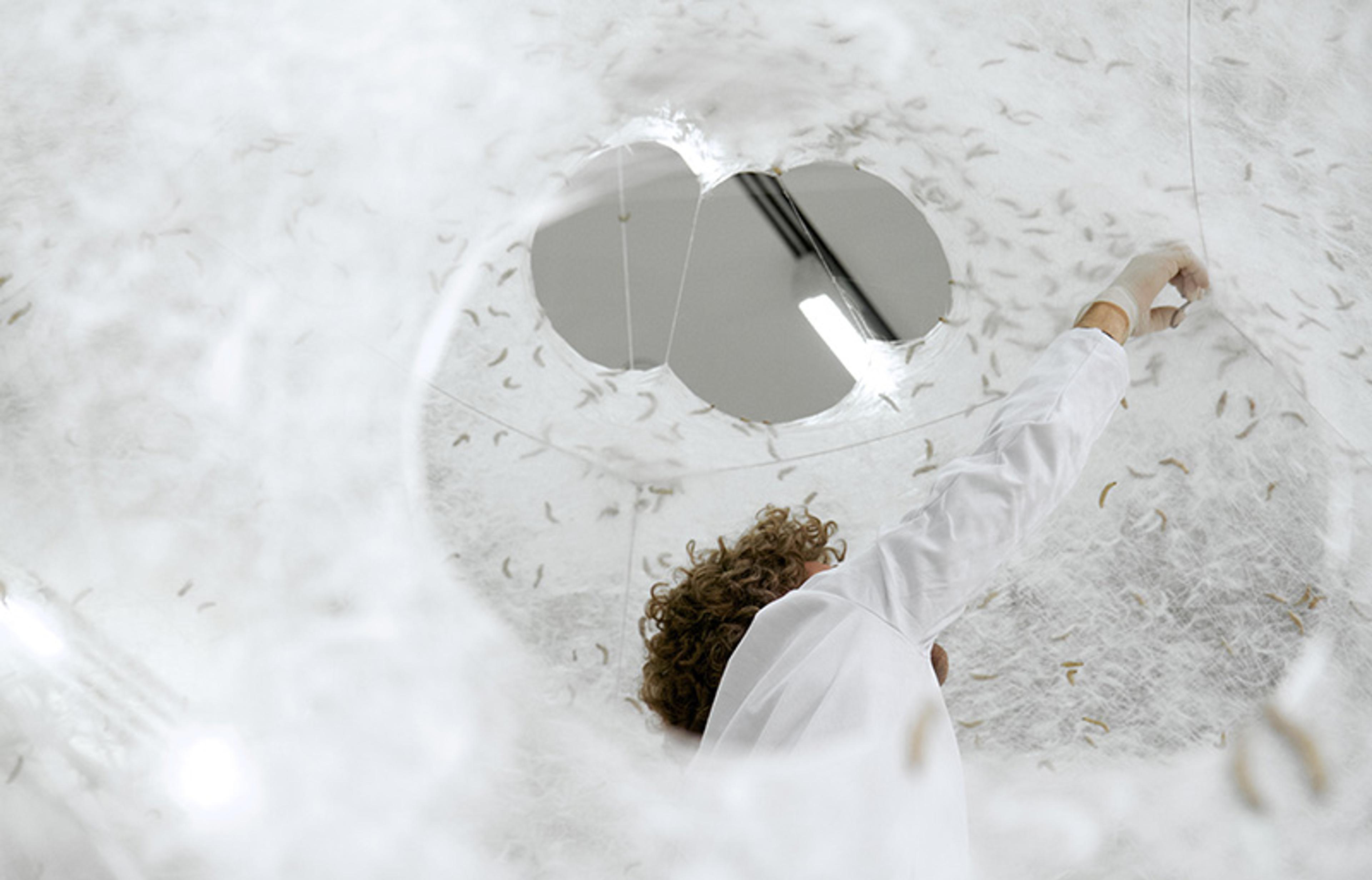 A person in a white lab coat working inside a translucent pod covered in white fibre-like material with small insects.