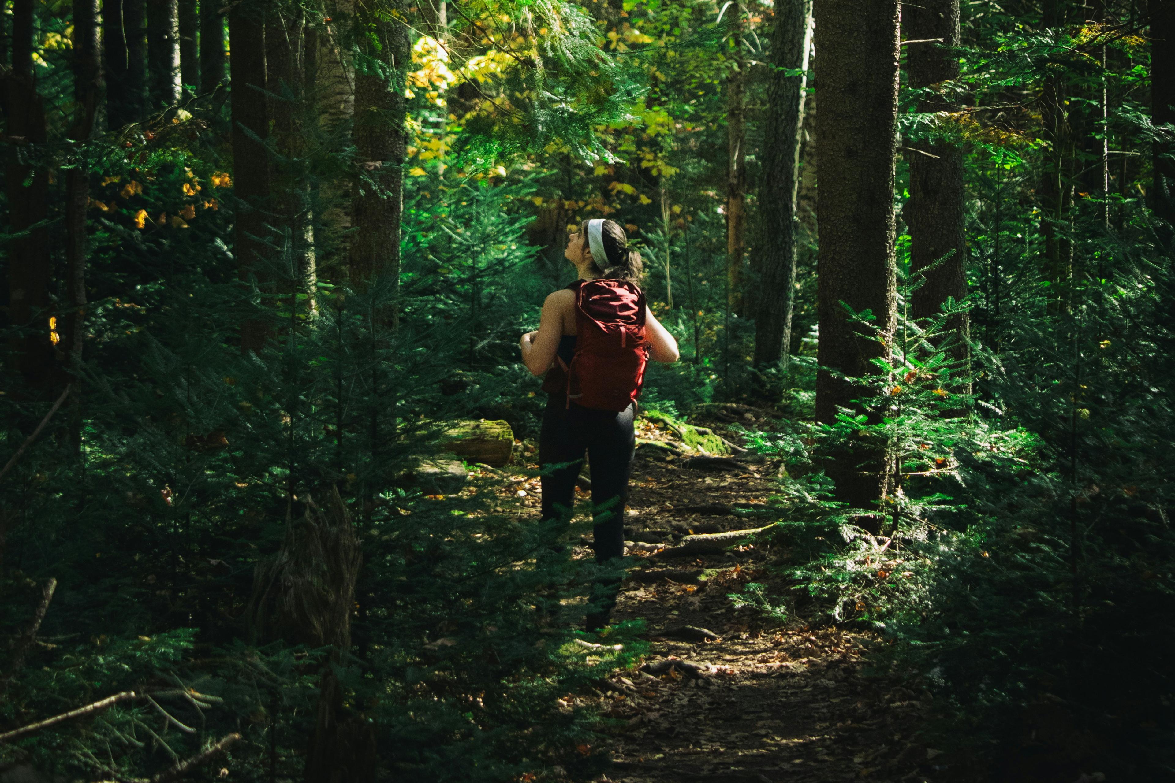 A person with a red backpack walking through a lush forest, sunlight filtering through the trees.
