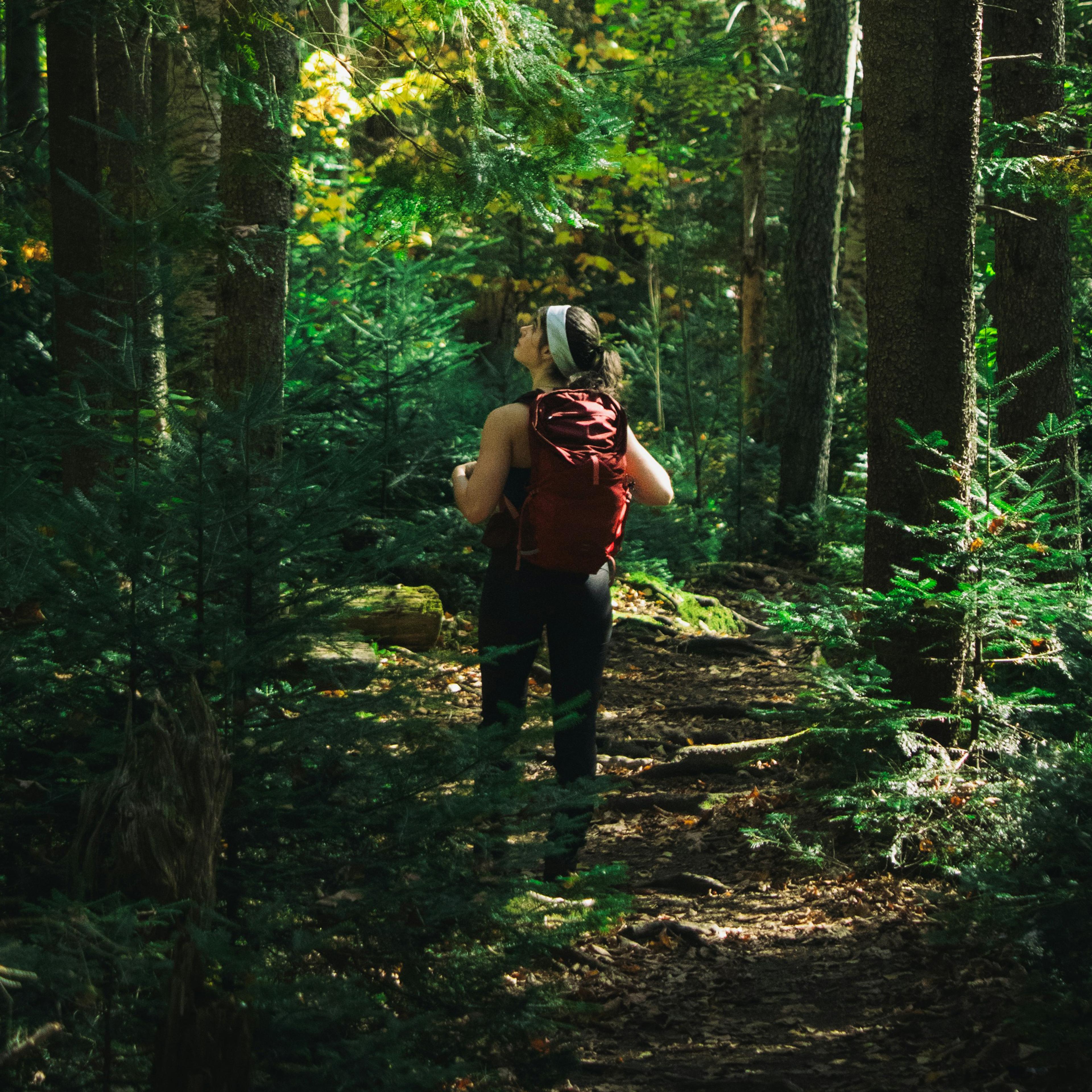 A person with a red backpack walking through a lush forest, sunlight filtering through the trees.