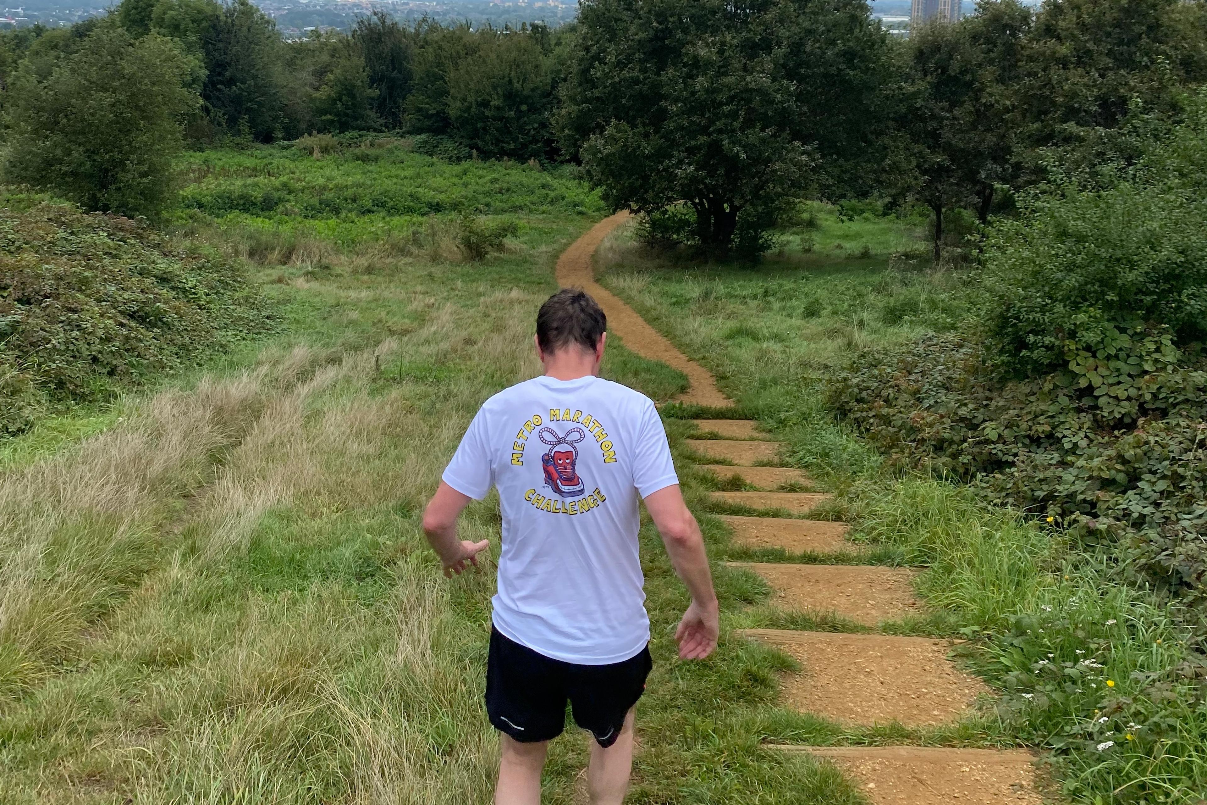 Photo of a person walking down a grassy path in a parkland area under a cloudy sky, surrounded by trees and bushes.