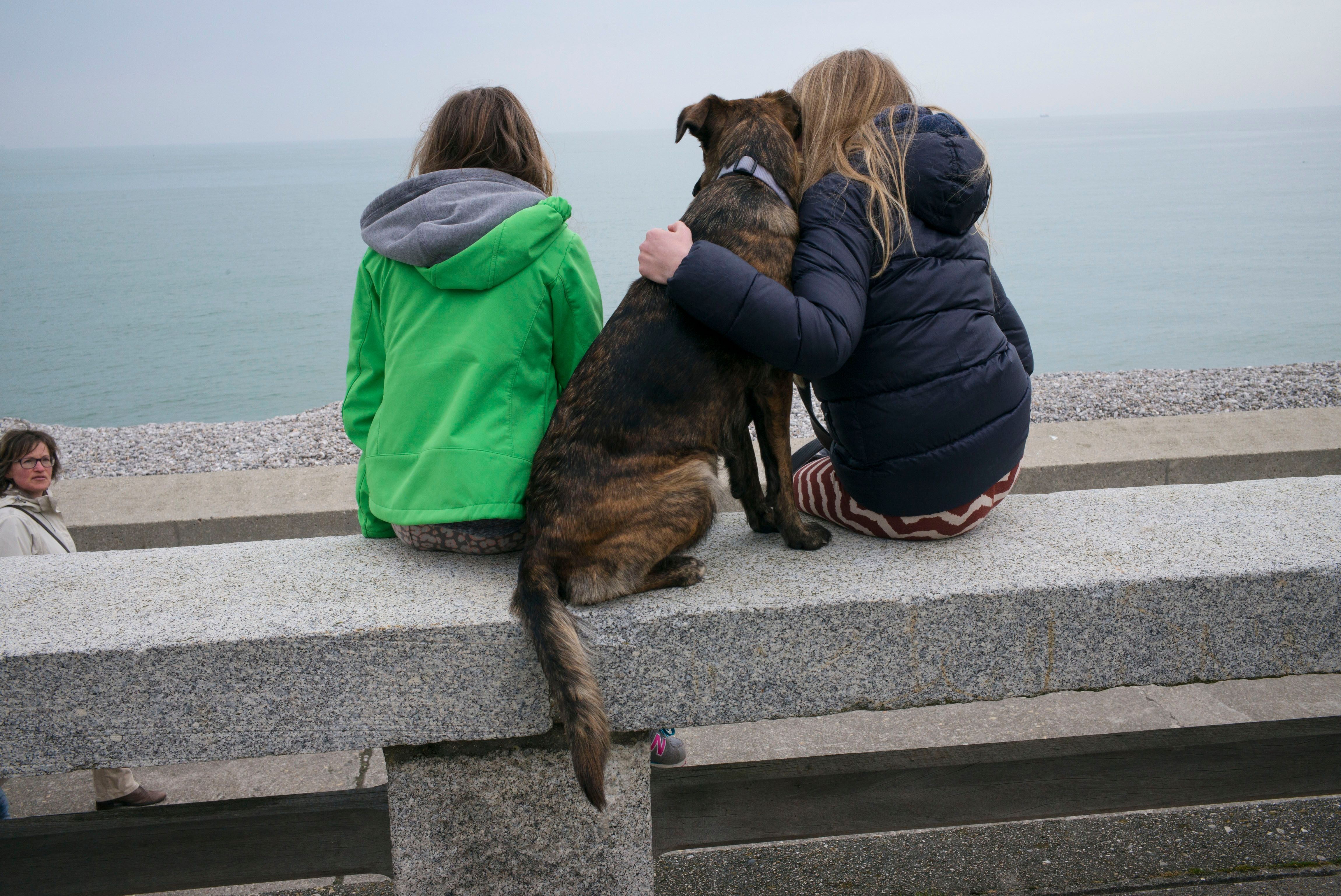 Photo of two people and a dog sitting on a stone bench facing the sea on a cloudy day with another person nearby.