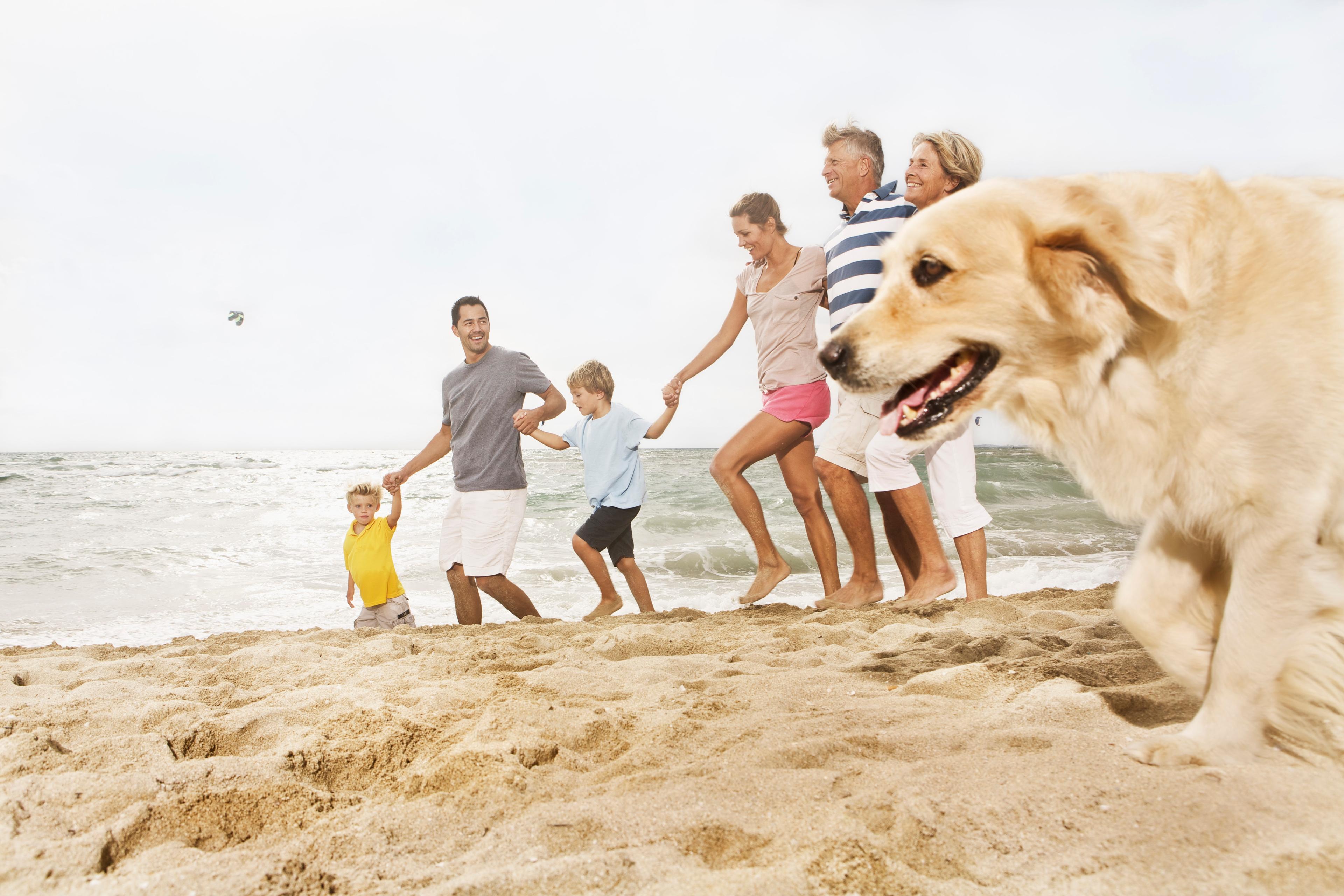 Photo of a family holding hands walking on a beach with a golden retriever in the foreground and ocean waves in the background.