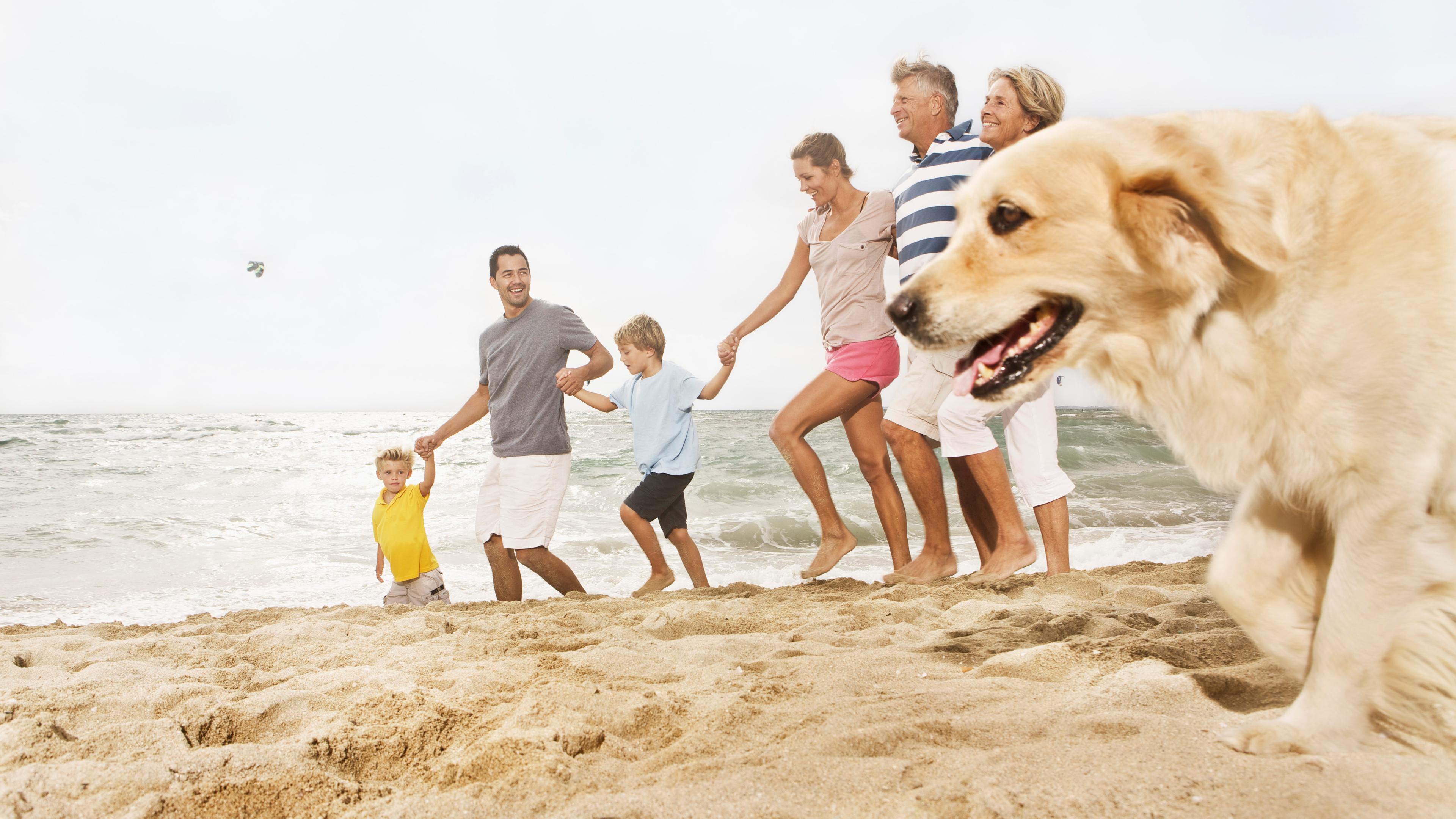 Photo of a family holding hands walking on a beach with a golden retriever in the foreground and ocean waves in the background.