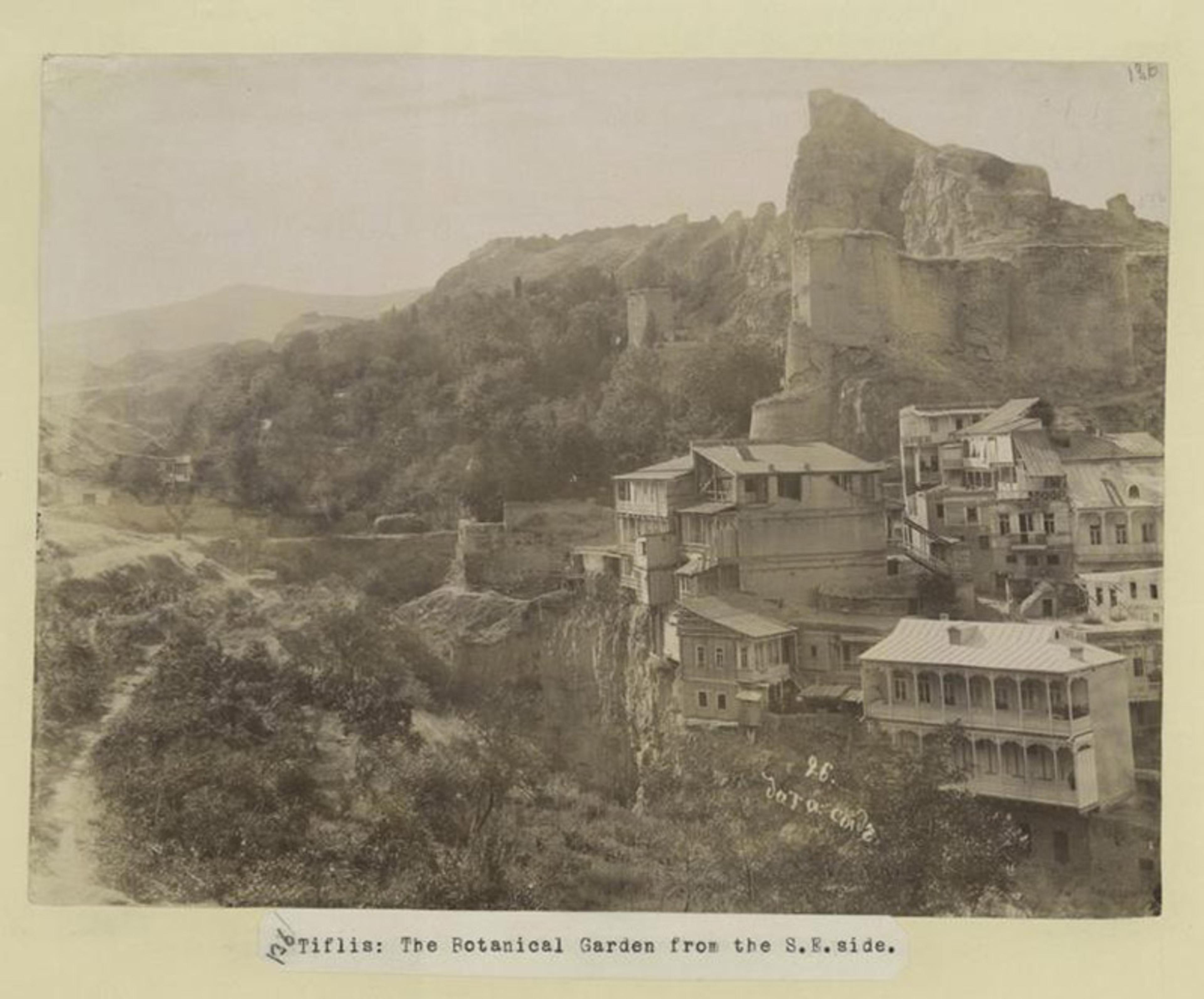 Historic photograph of the Botanical Garden from the southeast side in Tbilisi, featuring cliffside buildings and lush foliage in the background.