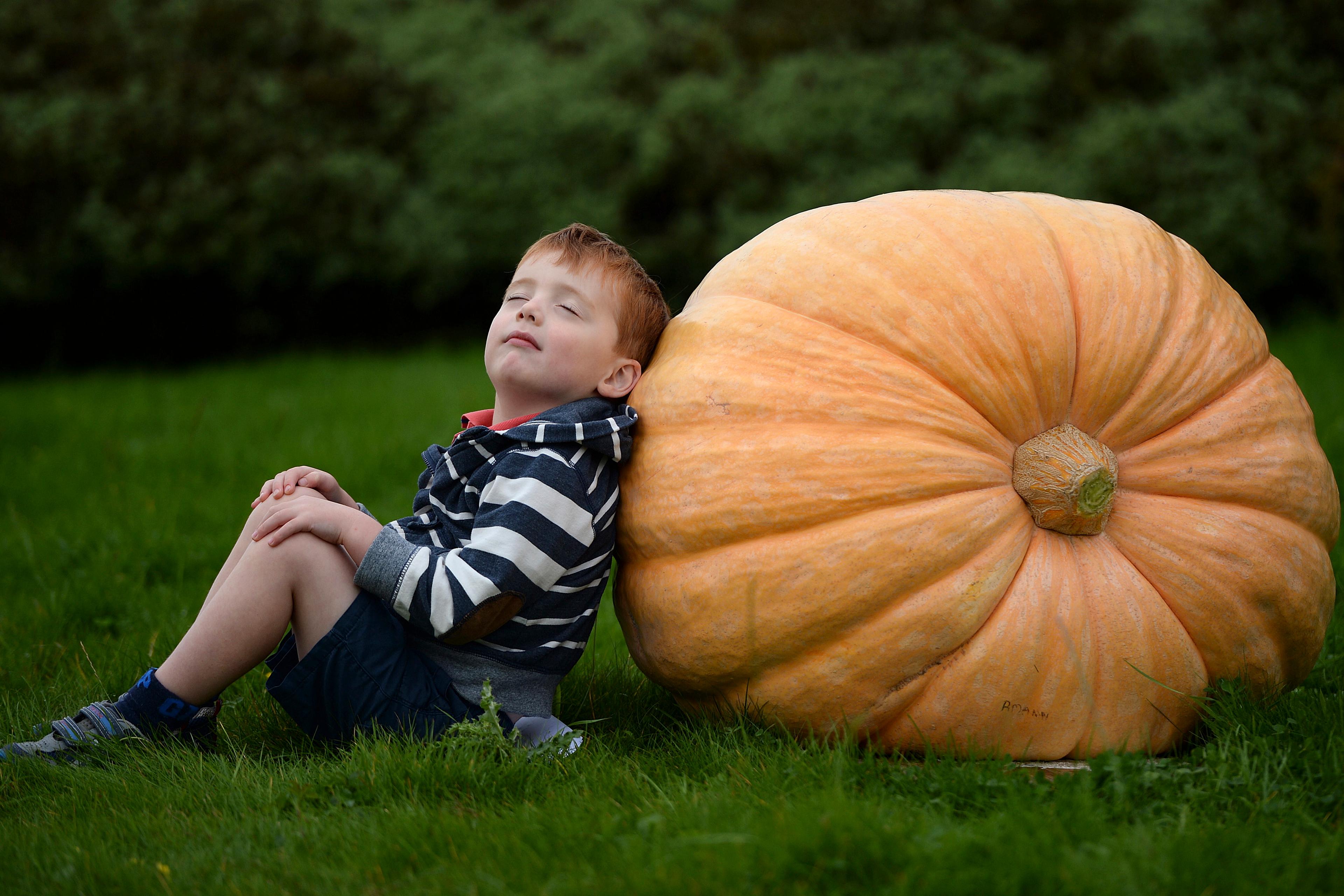 A photo of a young boy with closed eyes leaning against a giant orange pumpkin on grass with a blurred green background.