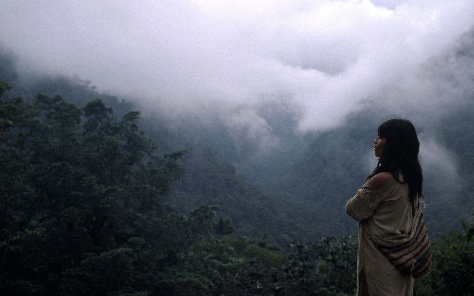 Colombia's misty mountain world's most irreplacable nature reserve, Endangered habitats