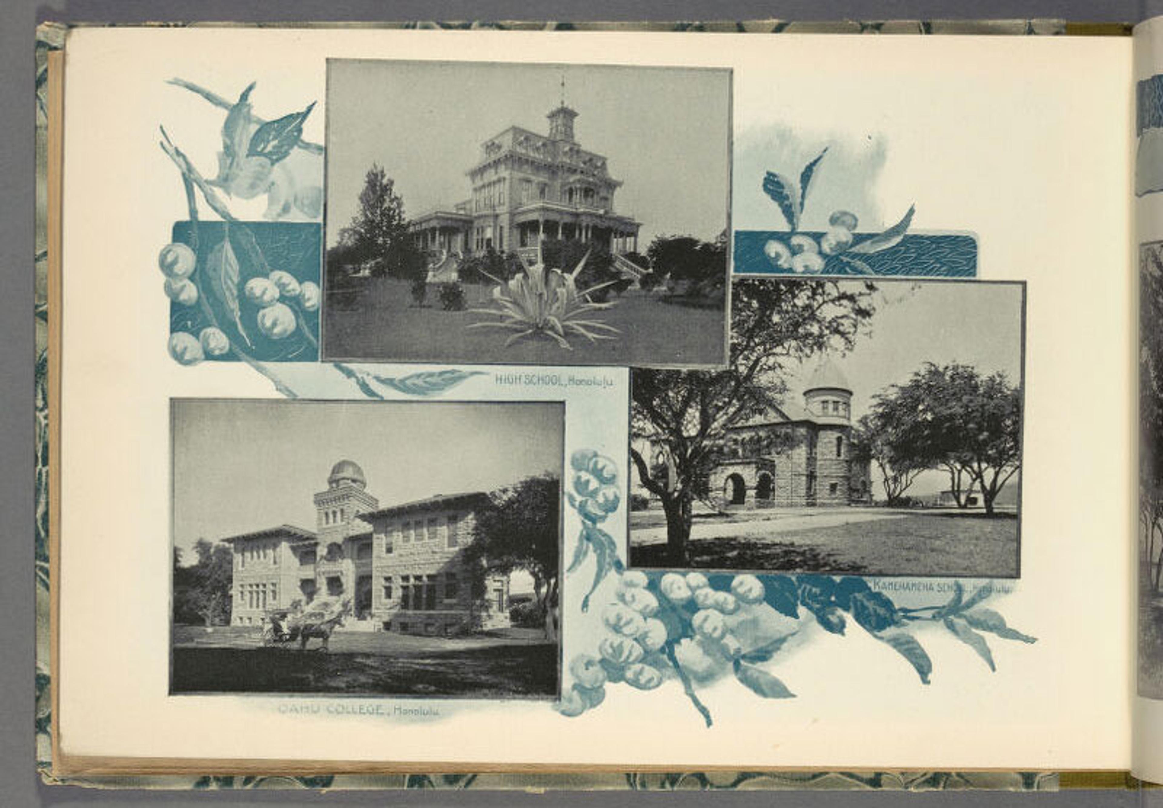 Collage of vintage photos showcasing historic buildings with decorative floral motifs; school and college images are featured.