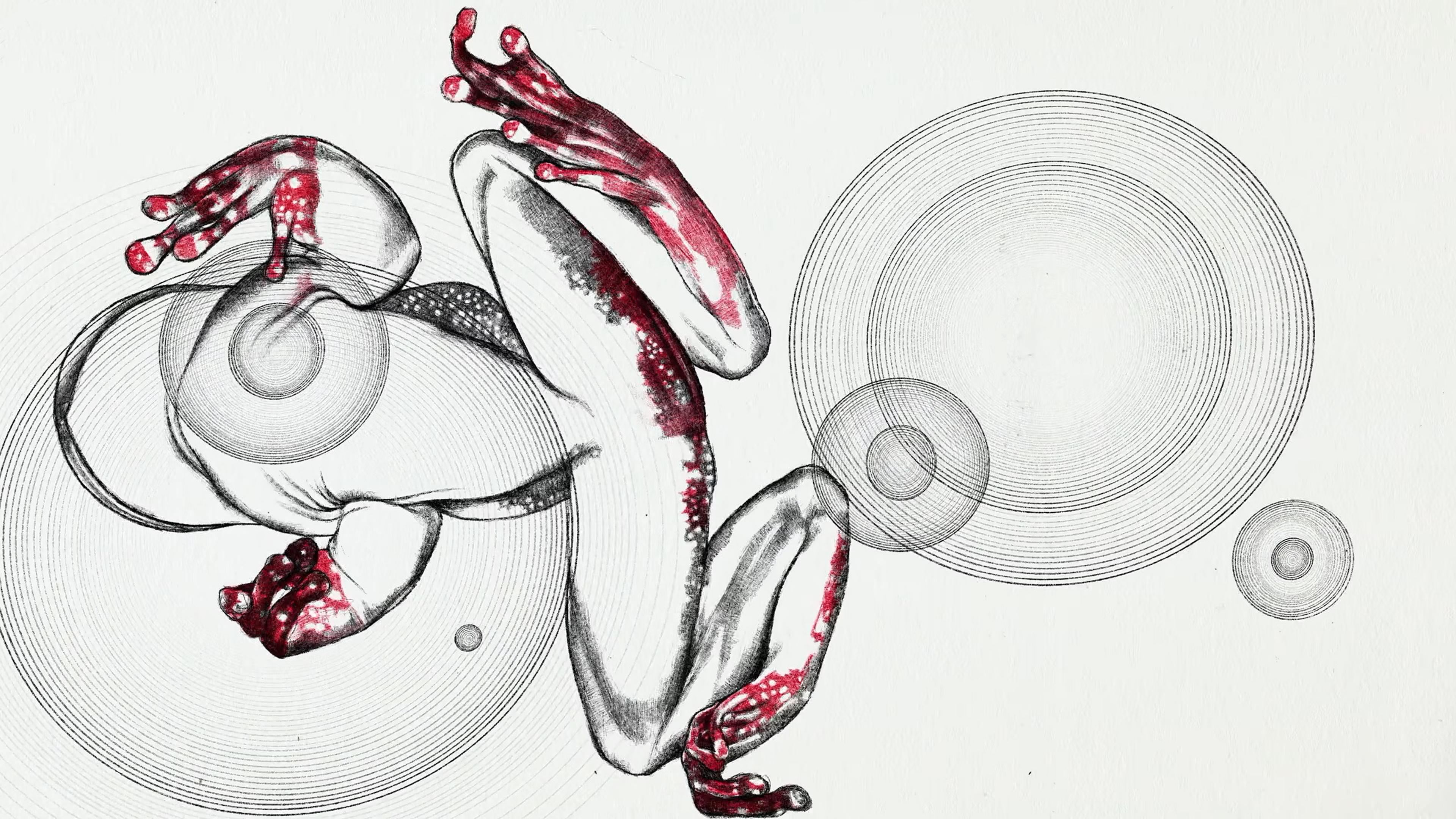 Line drawing of a frog from a below perspective, with circles of various sizes indicating ripples.