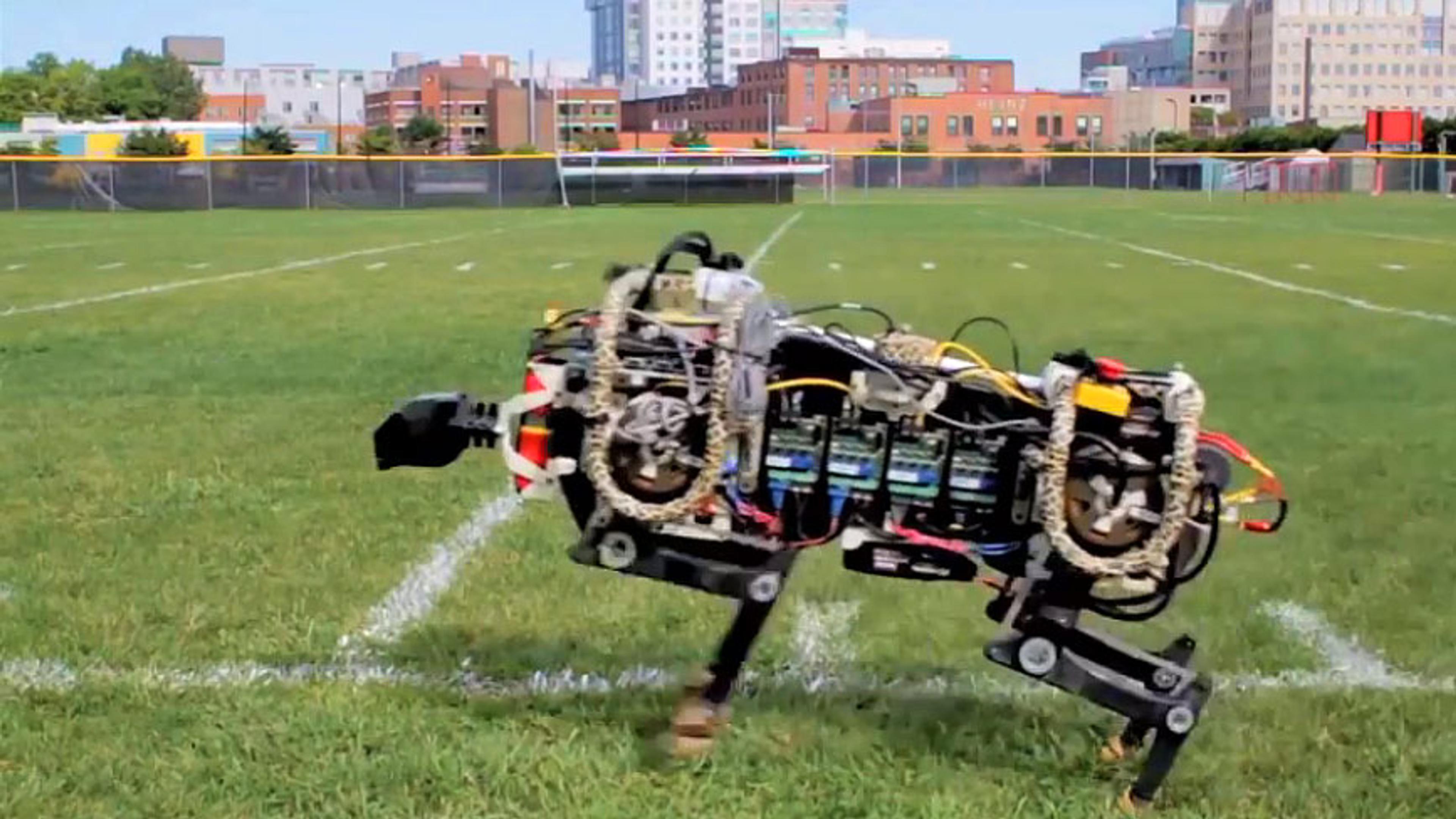 A robotic dog running on a grass field with buildings in the background on a sunny day.
