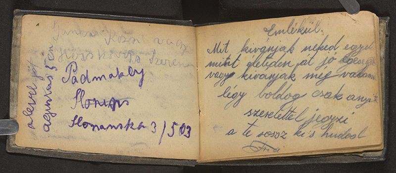 Thousands of desperate, vivid diaries remain from occupied Europe