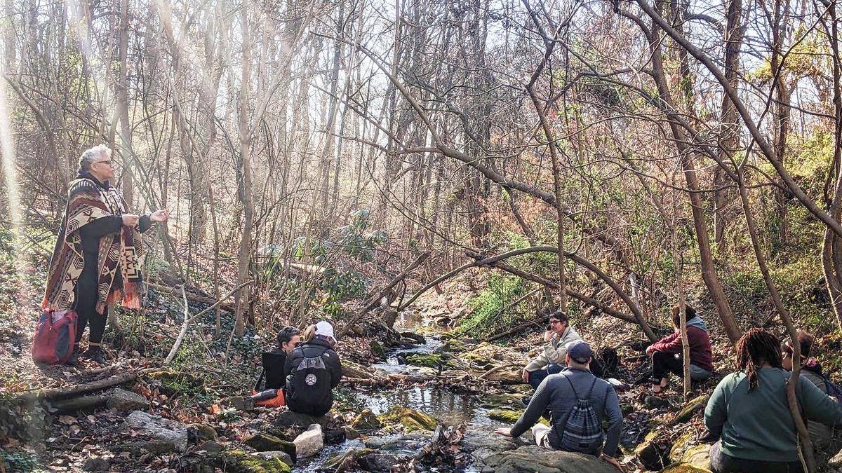 People sitting by a small stream in a wooded area during daytime, with sunlight filtering through bare trees.