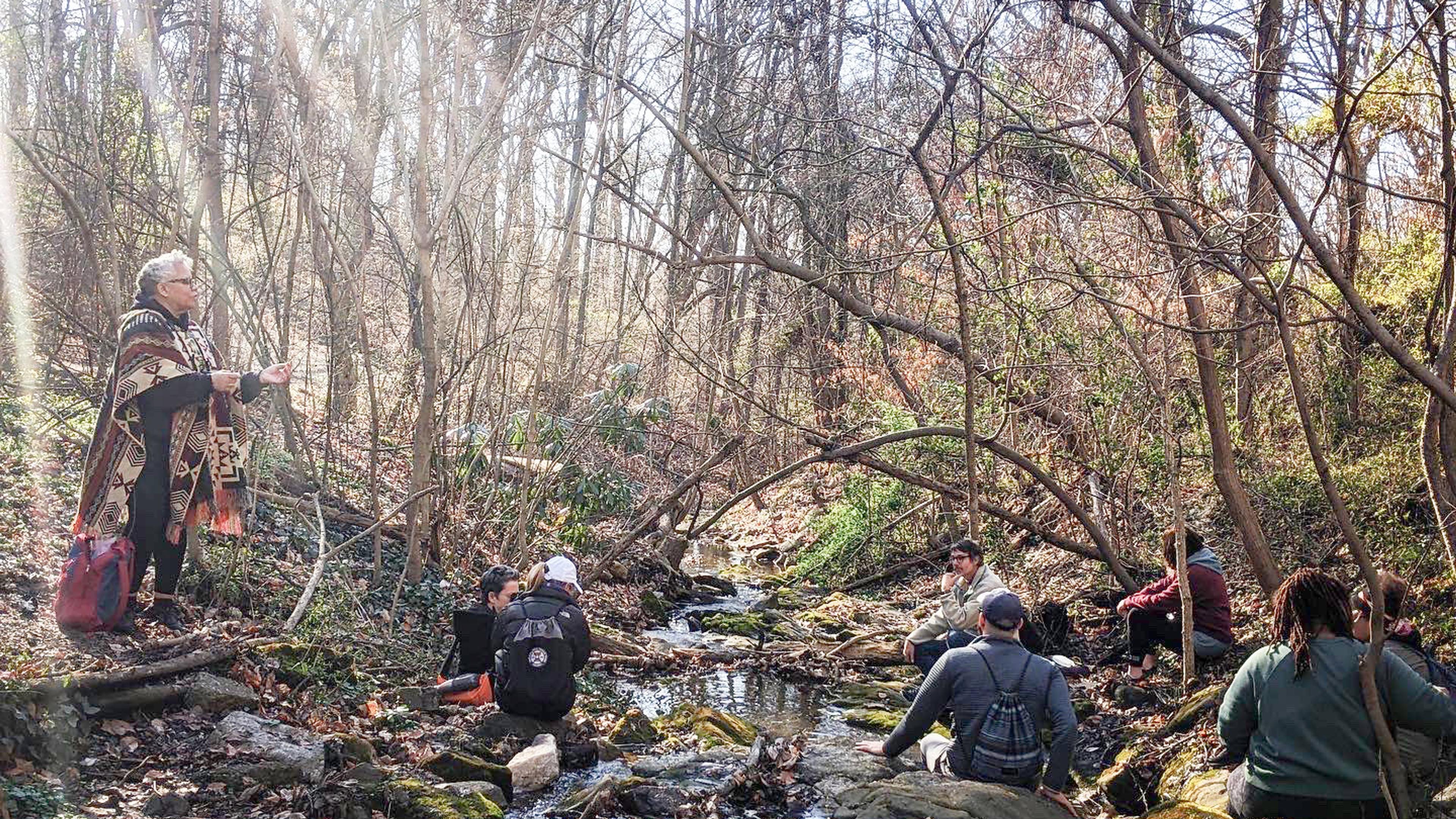People sitting by a small stream in a wooded area during daytime, with sunlight filtering through bare trees.
