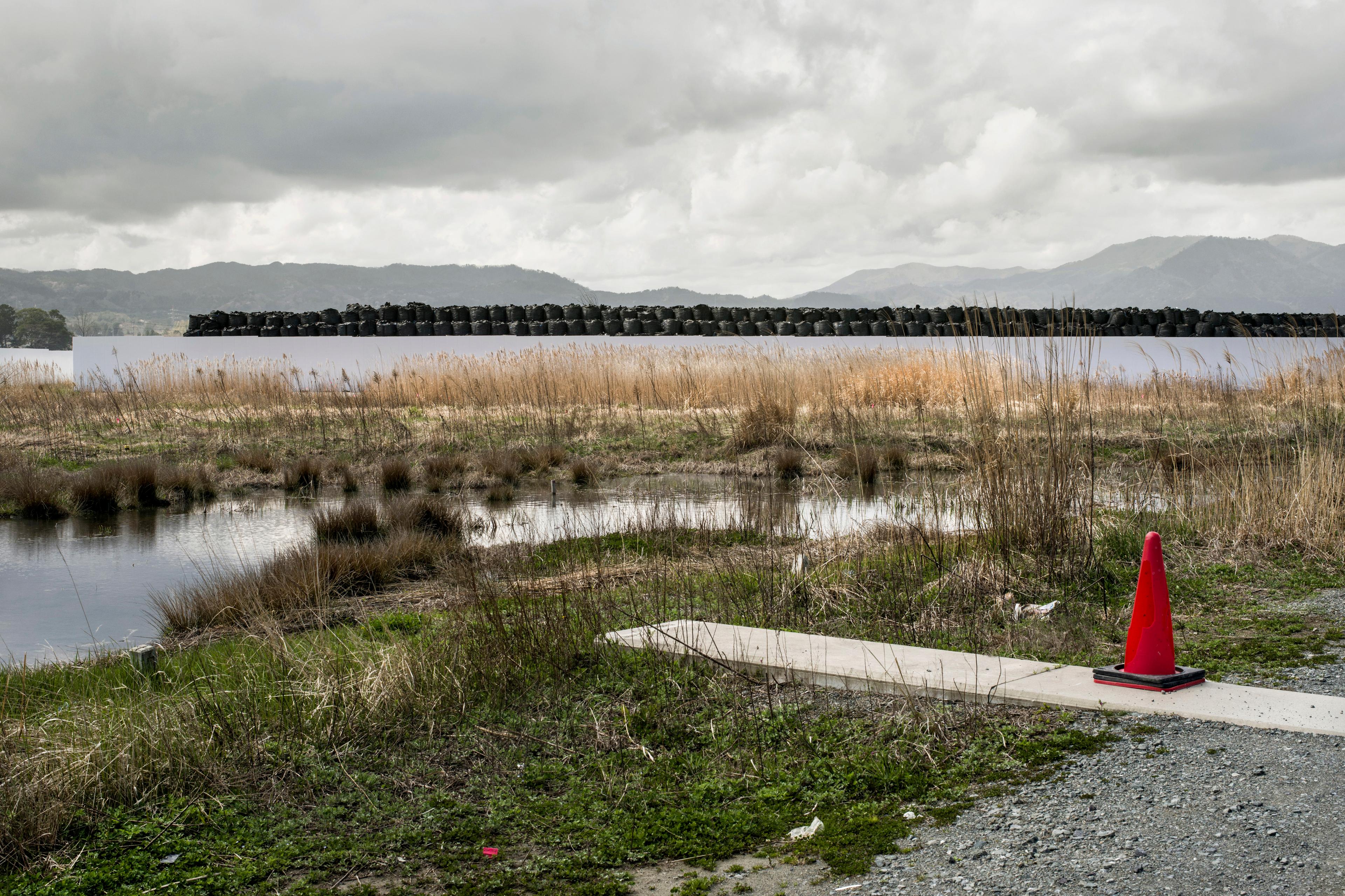 Photo of a grassy wetland with a cloudy sky, a distant mountain range and a lone red traffic cone in the foreground.