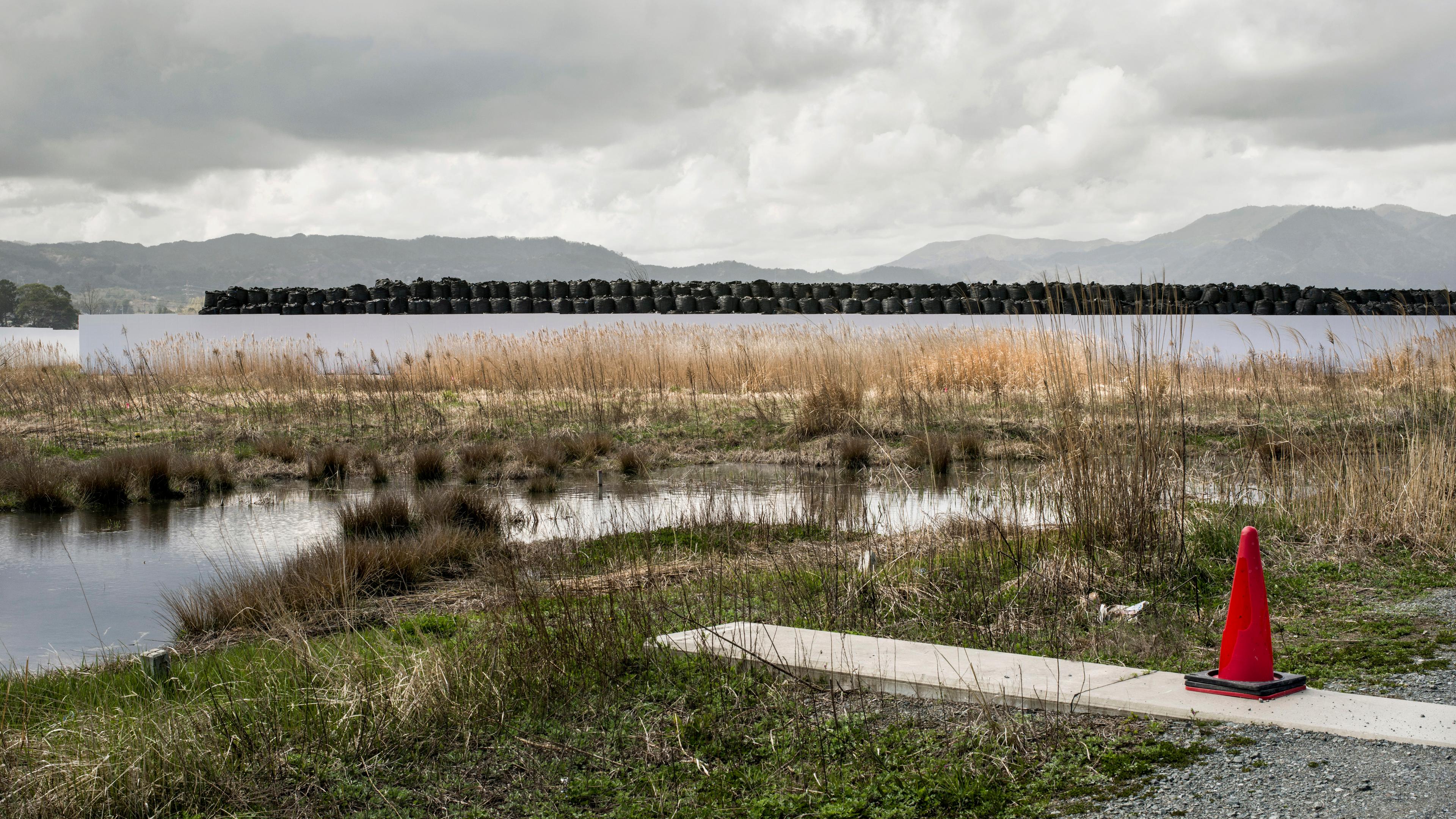 Photo of a grassy wetland with a cloudy sky, a distant mountain range and a lone red traffic cone in the foreground.