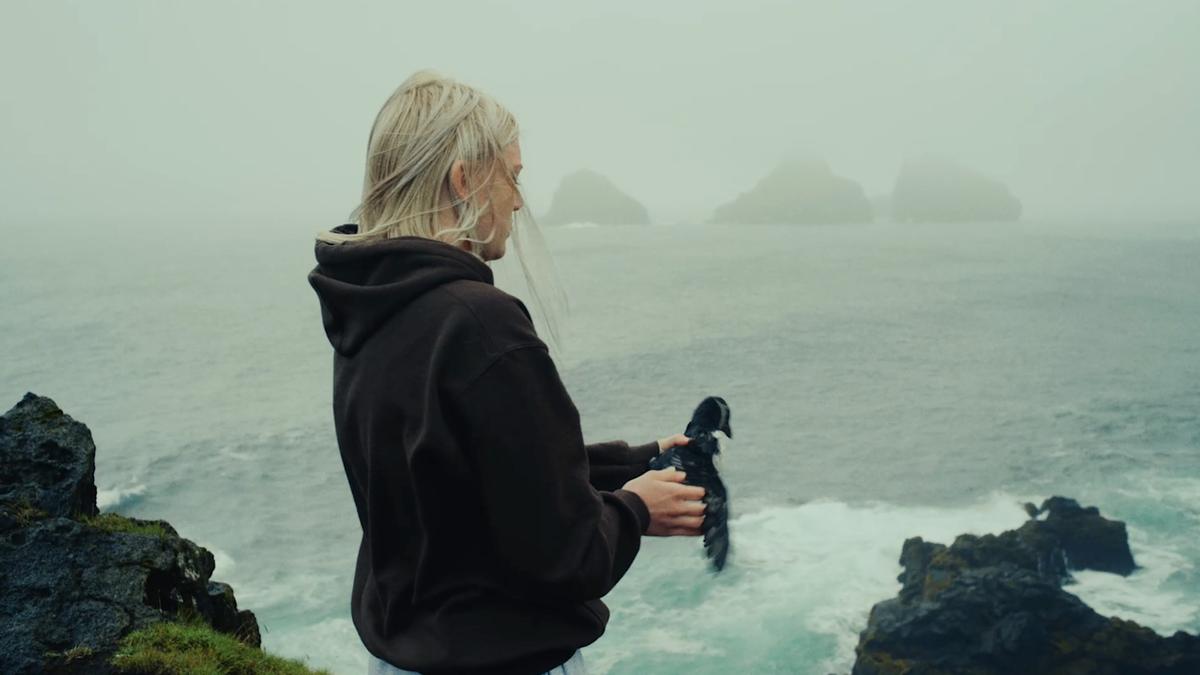 The unique fellowship between teens and young puffins on a remote