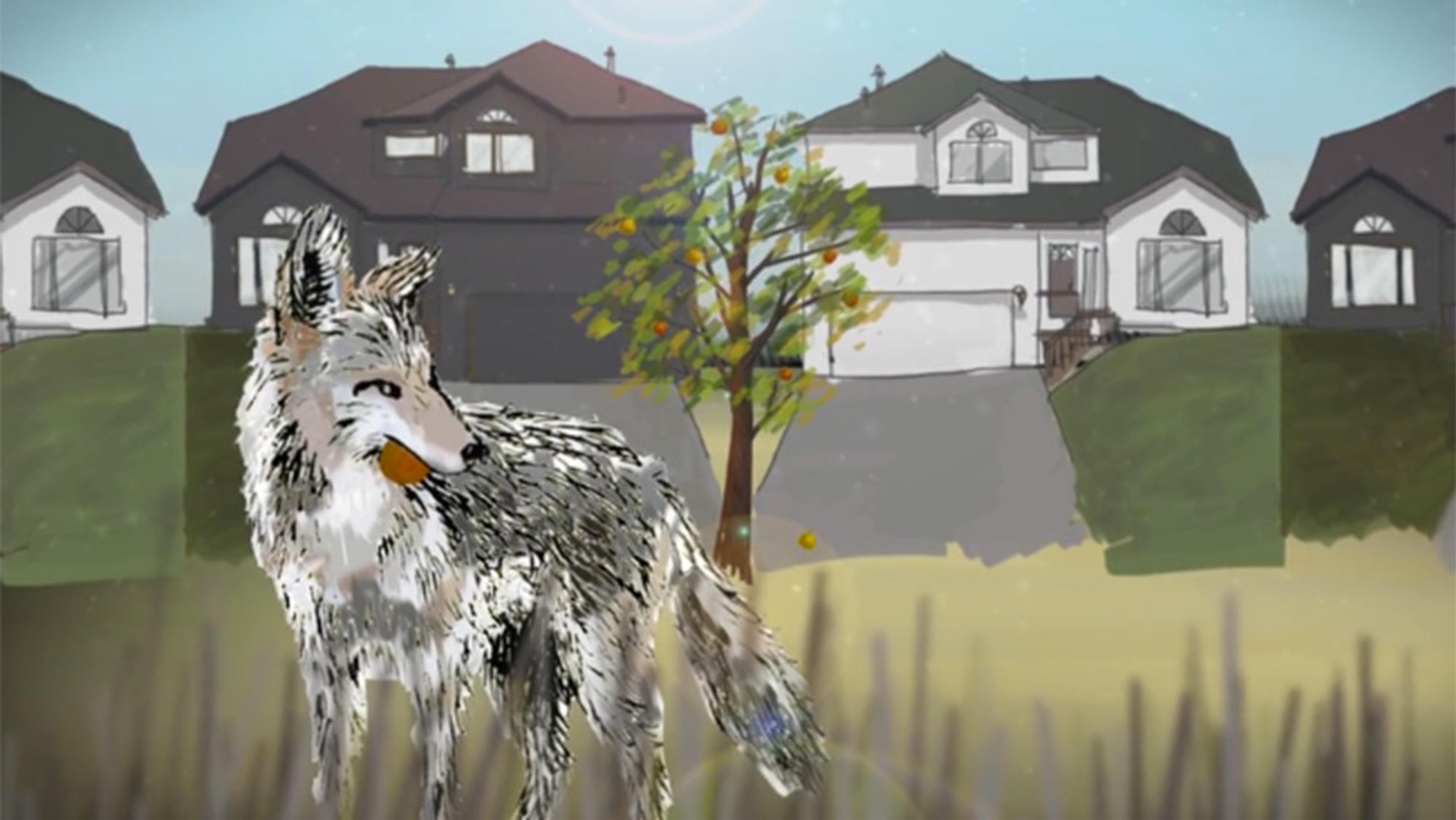 Painting of a coyote standing in grass with suburban houses and a tree in the background on a sunny day.
