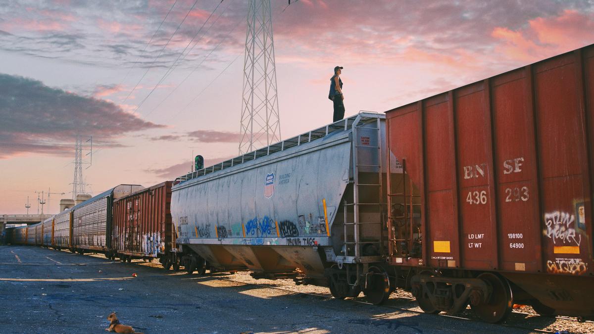 A person standing on a freight train car during sunset with a dog sitting nearby and graffiti on the train.