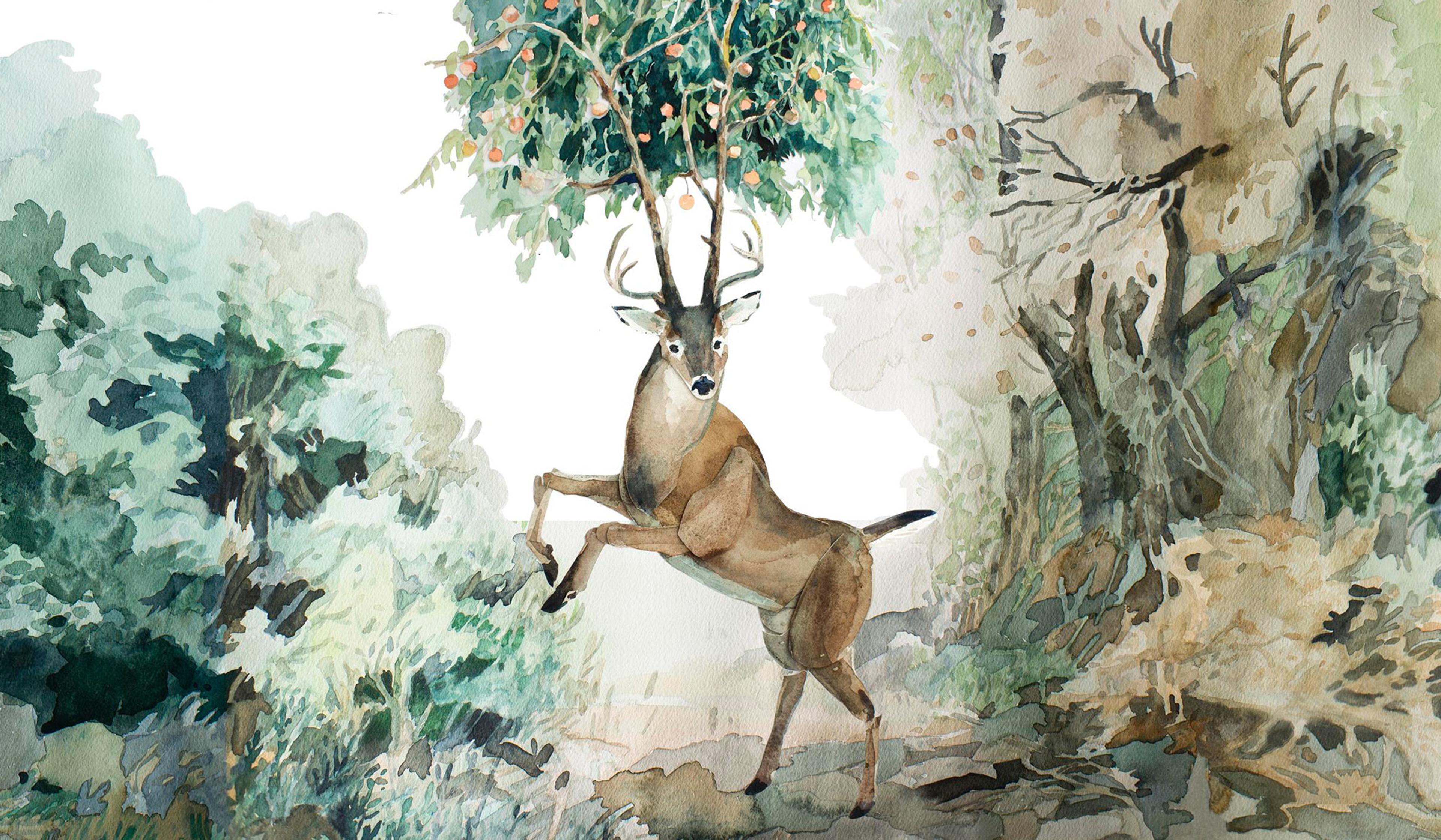 Watercolour painting of a deer with antlers incorporating tree branches and fruit, standing on its hind legs in a lush forest.
