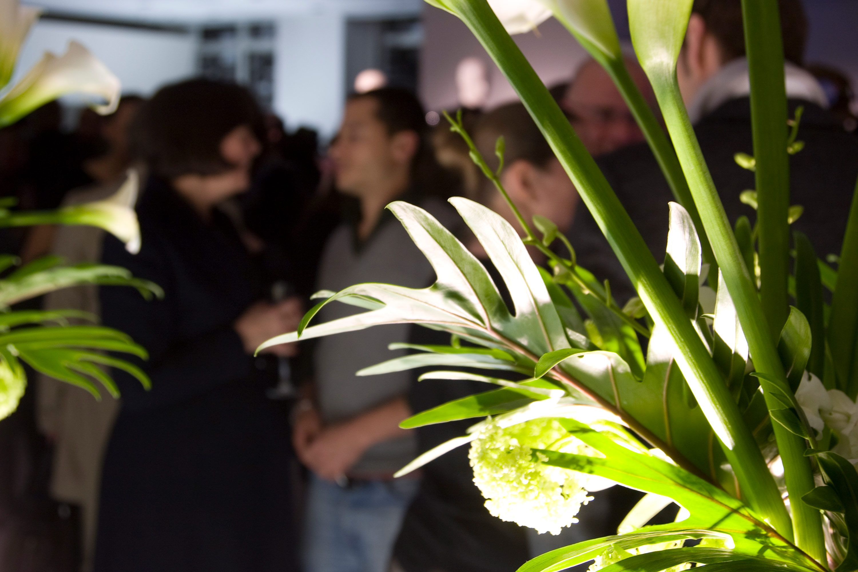 Photo of a crowded event with out-of-focus people in the background and sharply focused green and white flowers in the foreground.
